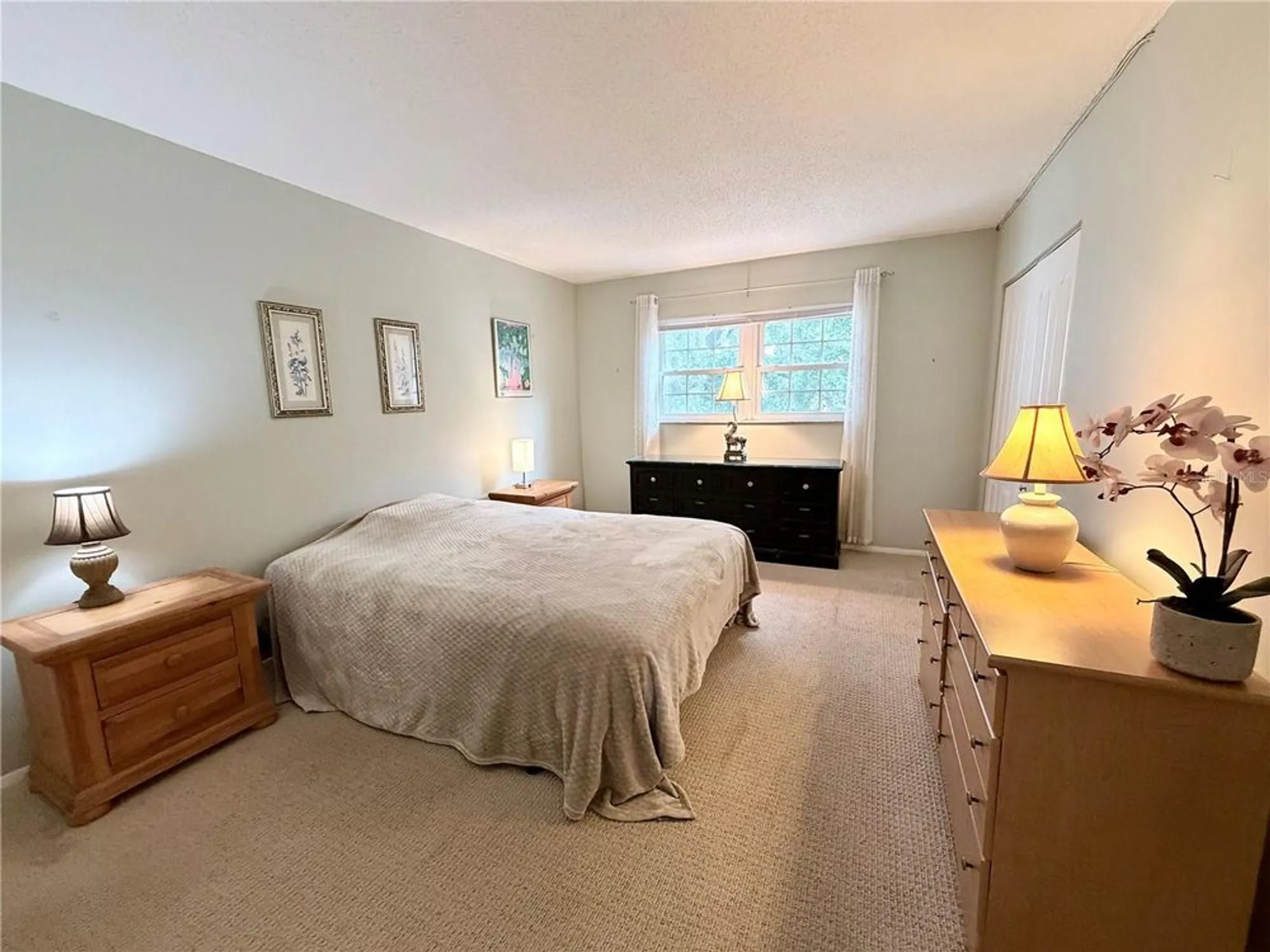 Property Slideshow image 16 of 34 | 870 virginia st apt 302, Dunedin, FL, 34698