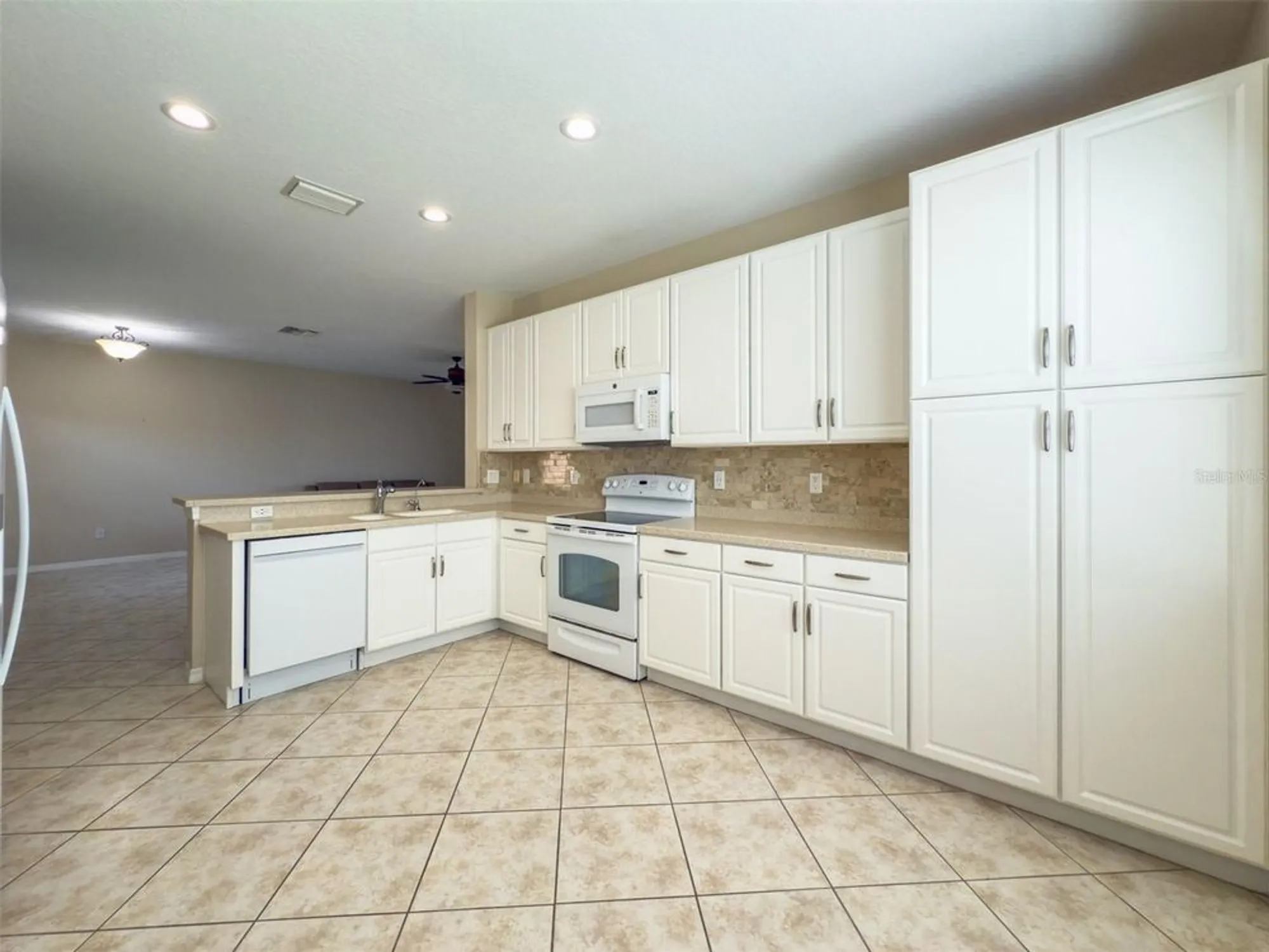 Property Slideshow image 18 of 88 | 16233 amethyst key dr, Wimauma, FL, 33598