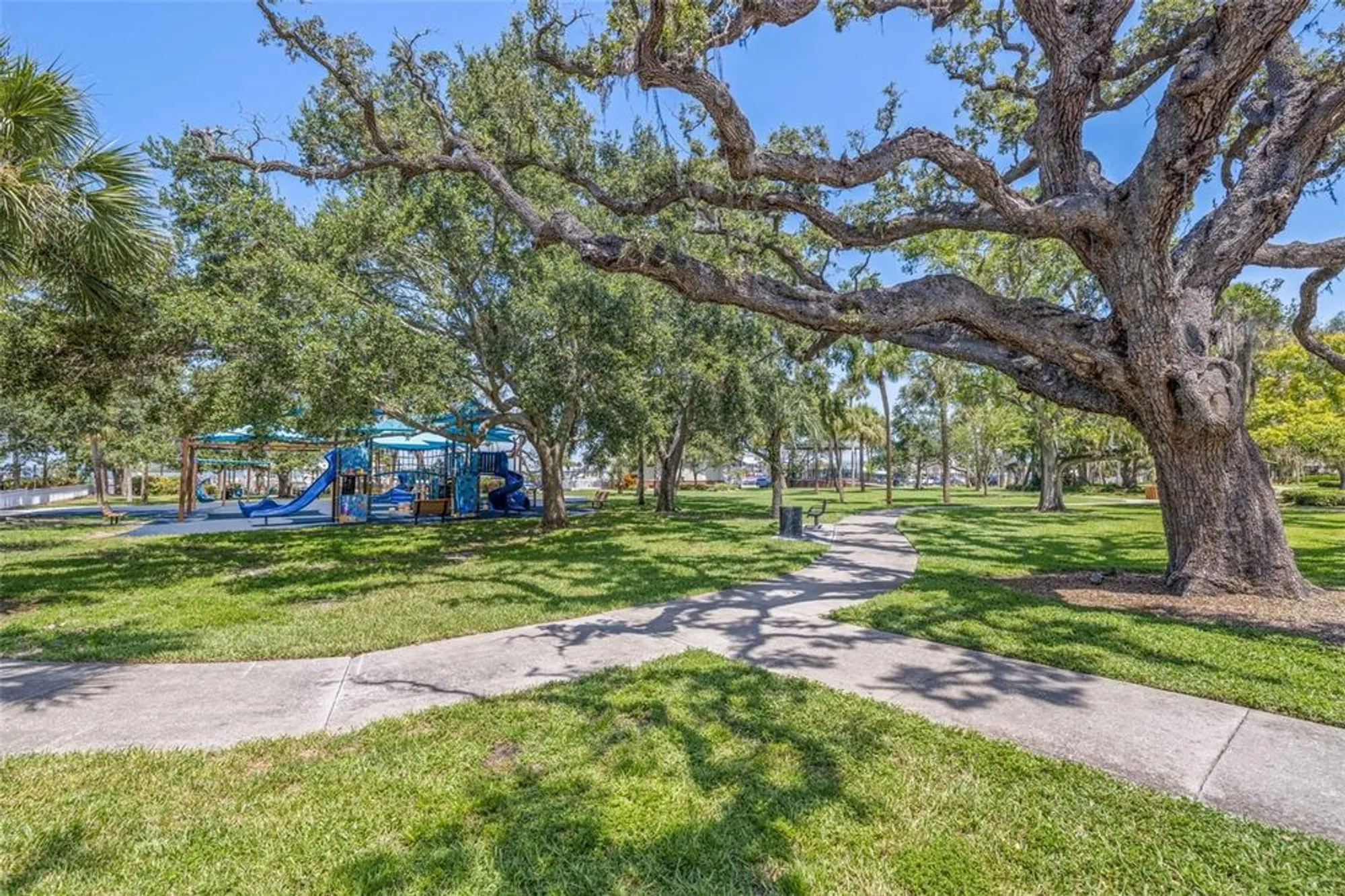Property Slideshow image 50 of 62 | 946 virginia st apt 207, Dunedin, FL, 34698