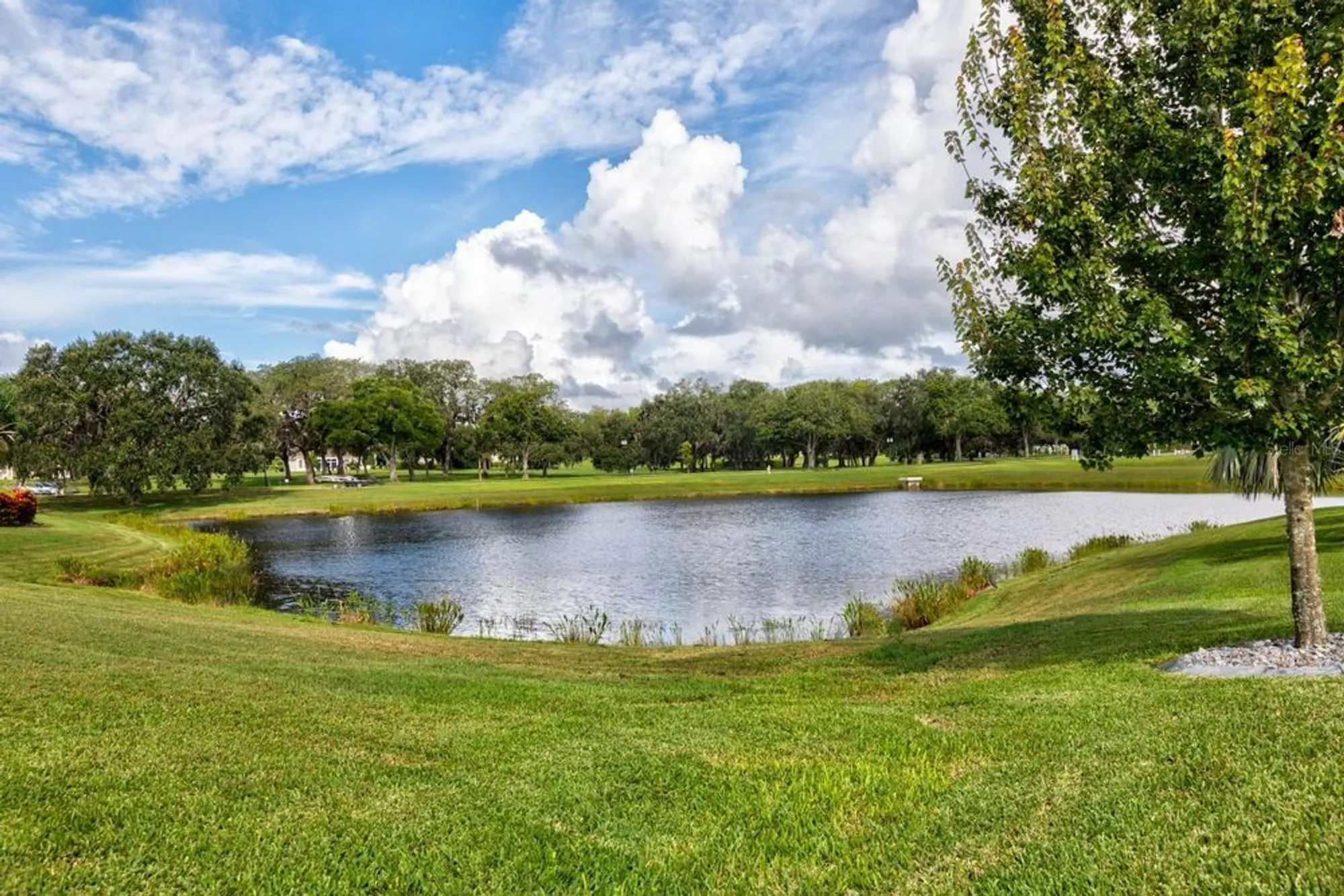 Property Slideshow image 23 of 42 | 26705 wetlands way, Leesburg, FL, 34748