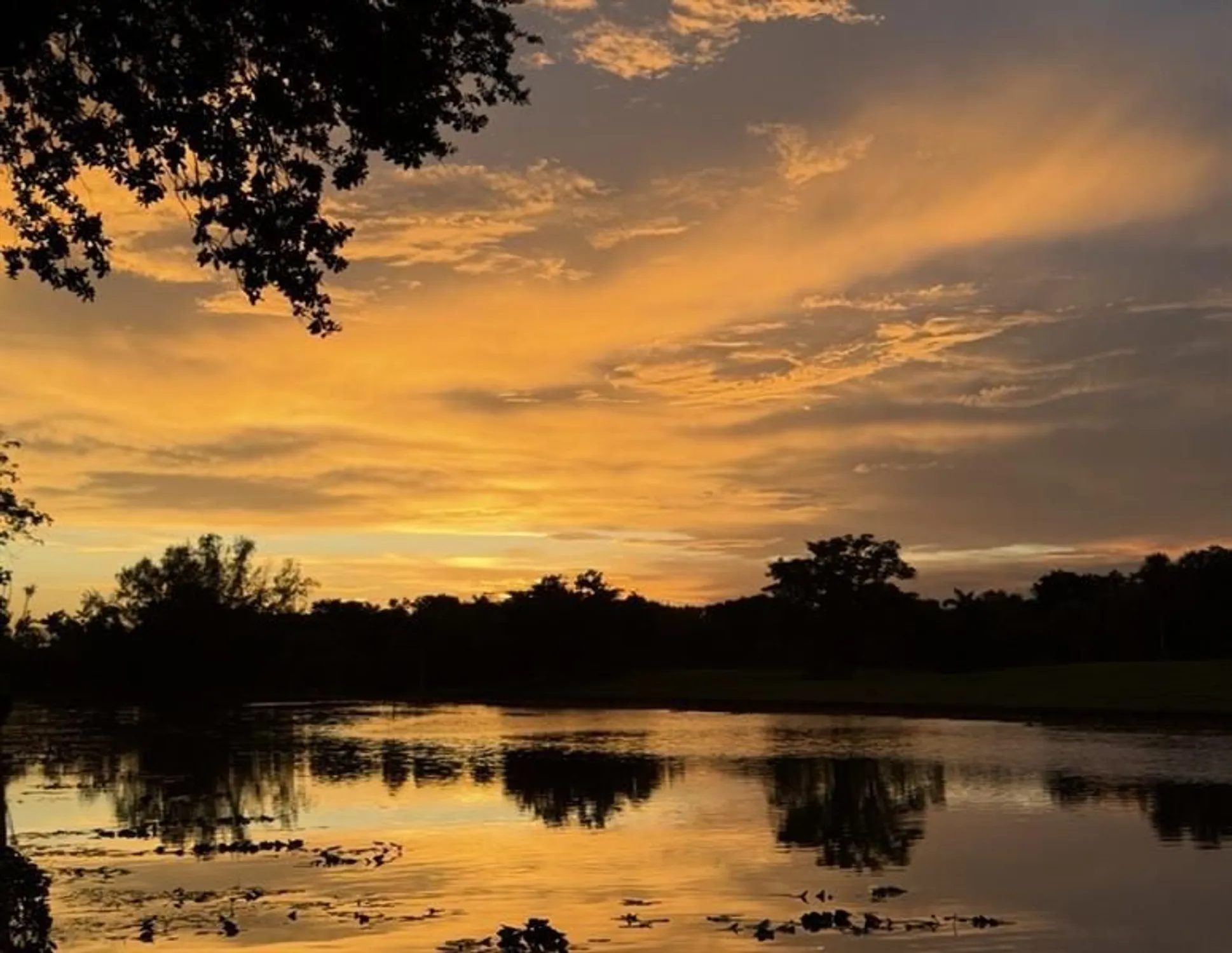 Property Slideshow image 22 of 27 | 3581 inverrary dr apt 104, Lauderhill, FL, 33319