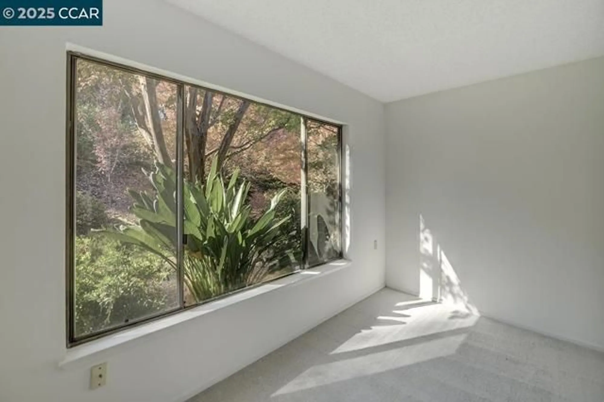 Property Slideshow image 5 of 45 | 1137 stanley dollar dr 5, Walnut Creek, CA, 94595