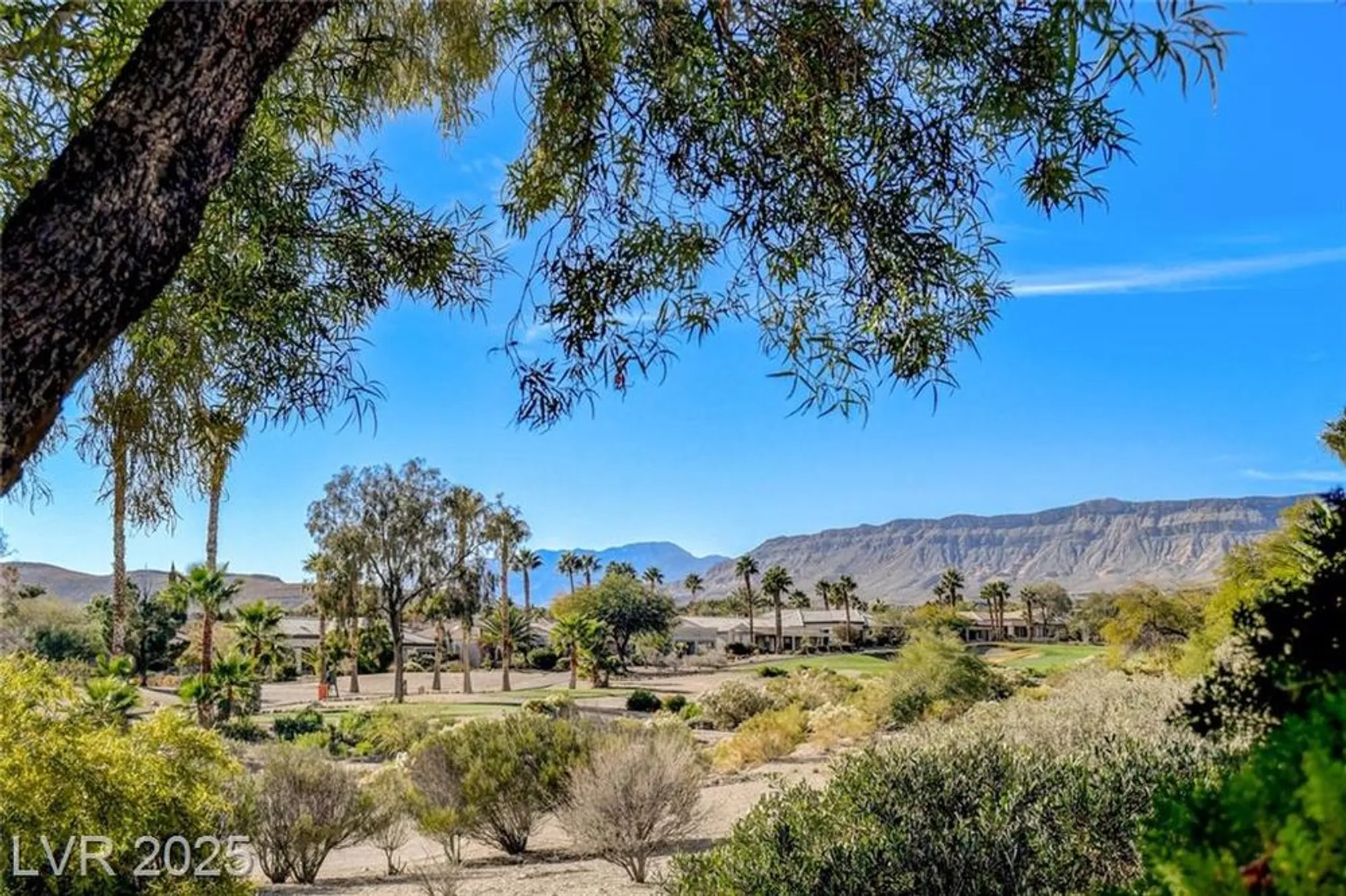 Property Slideshow image 3 of 60 | 10503 angelo tenero ave, Las Vegas, NV, 89135