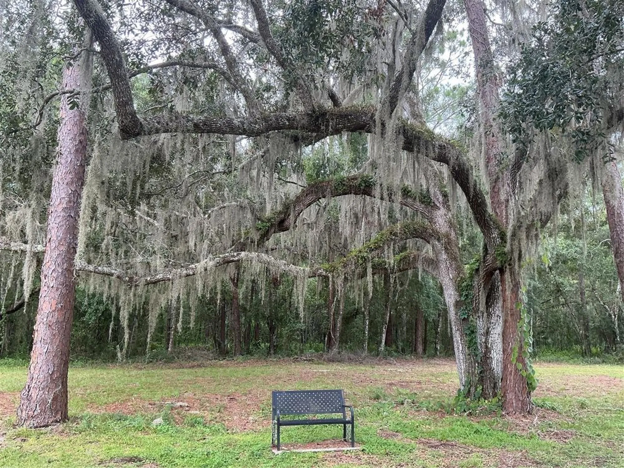 Property Slideshow image 29 of 34 | 15102 sandalwood dr # 102, Wildwood, FL, 34785