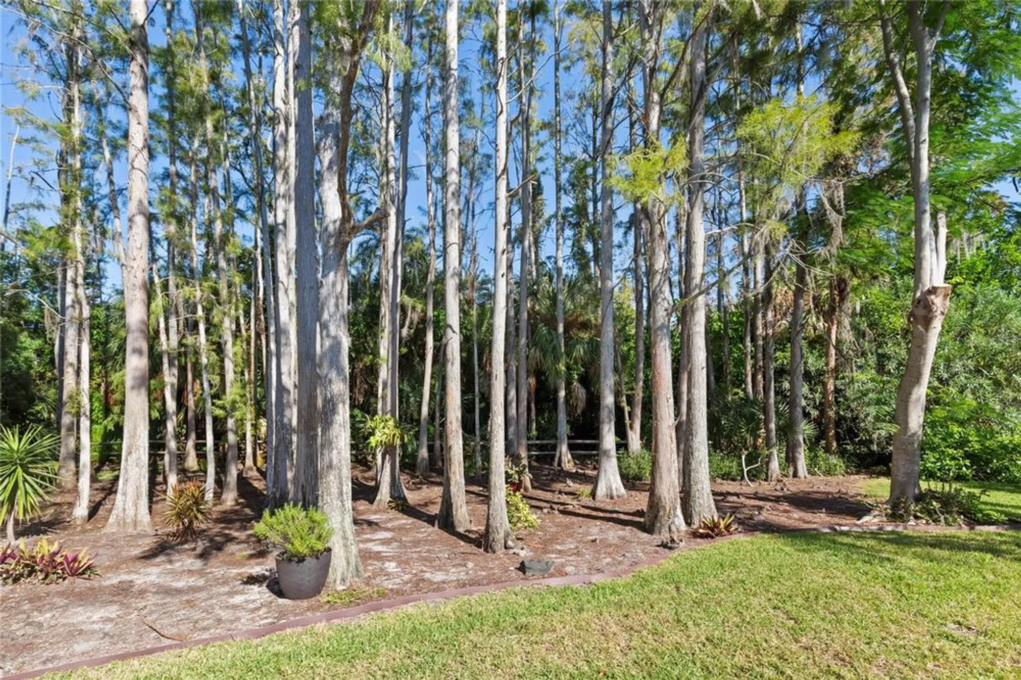 Property Slideshow image 47 of 54 | 2216 sequoia dr, Clearwater, FL, 33763