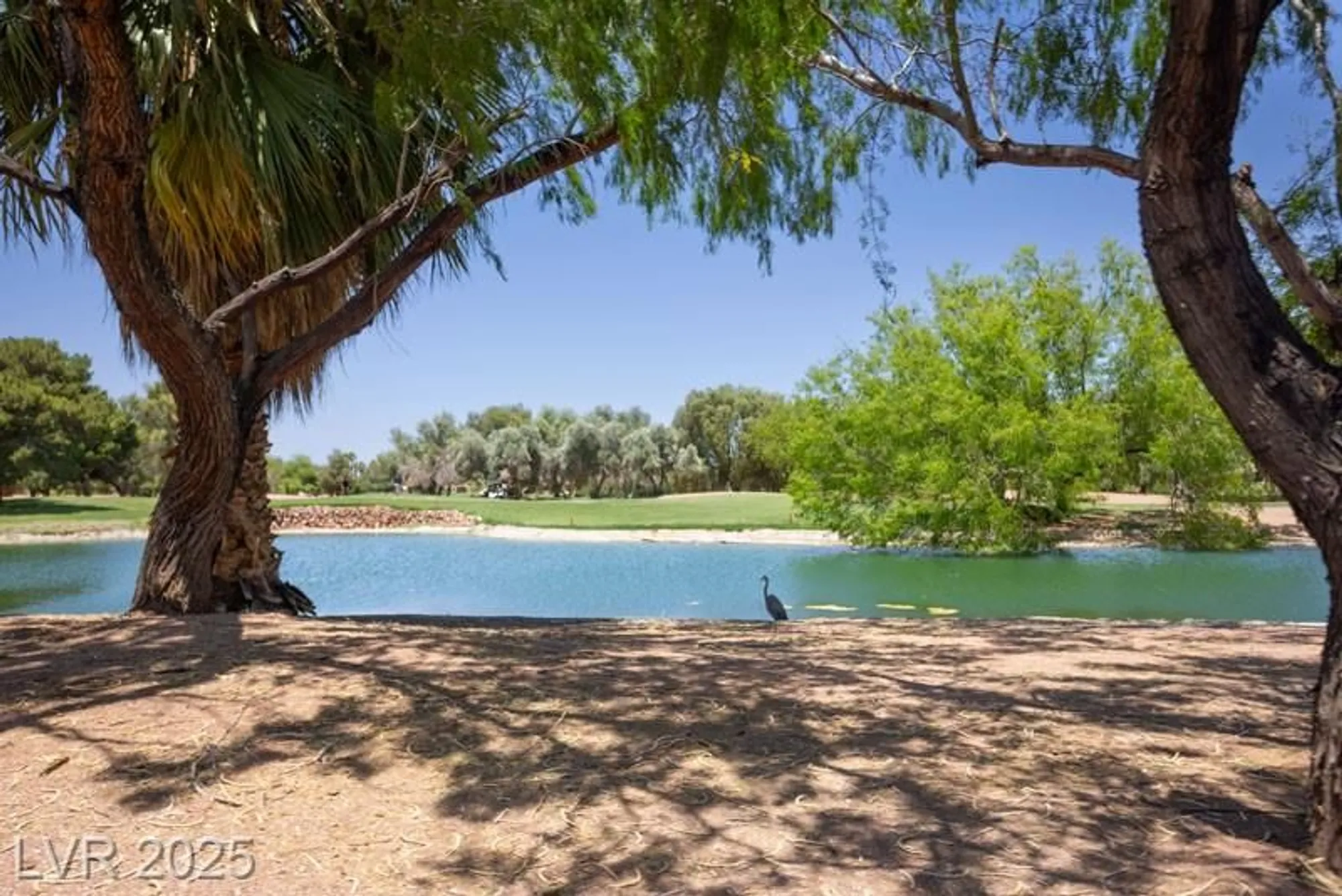 Property Slideshow image 39 of 43 | 5935 saddle horse ave, Las Vegas, NV, 89122