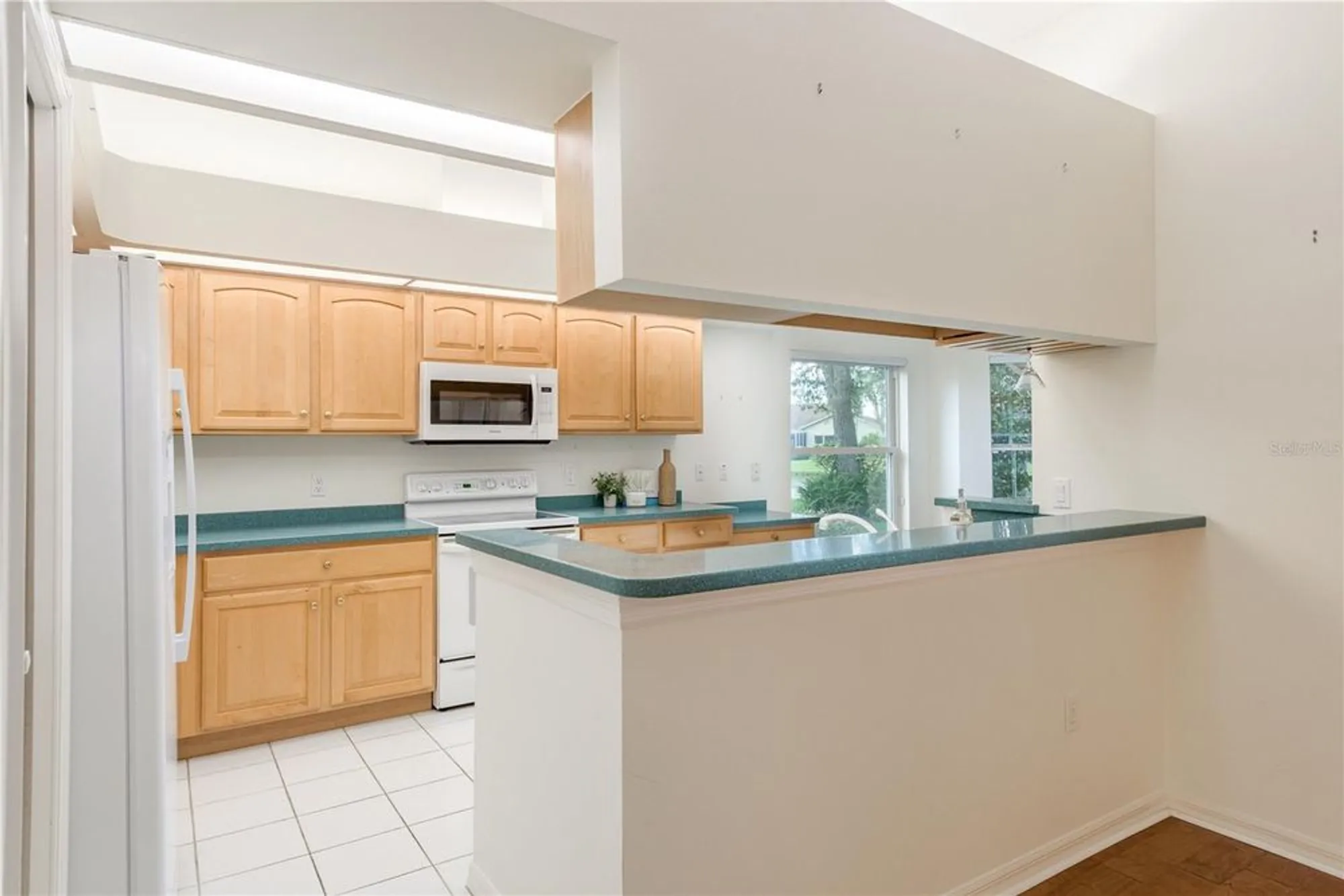 Property Slideshow image 22 of 49 | 1251 rambling vine ct, Trinity, FL, 34655