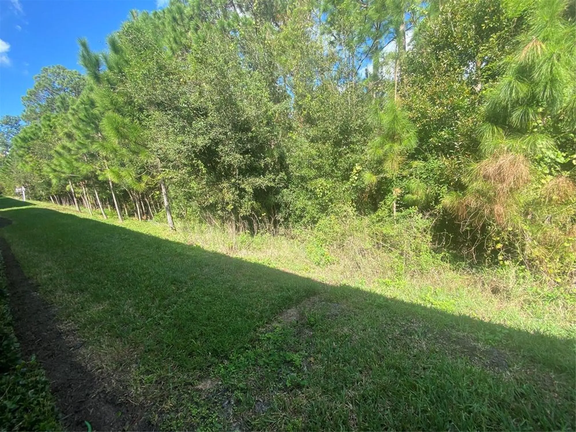 Property Slideshow image 33 of 44 | 1561 vienna square dr, Winter Haven, FL, 33884