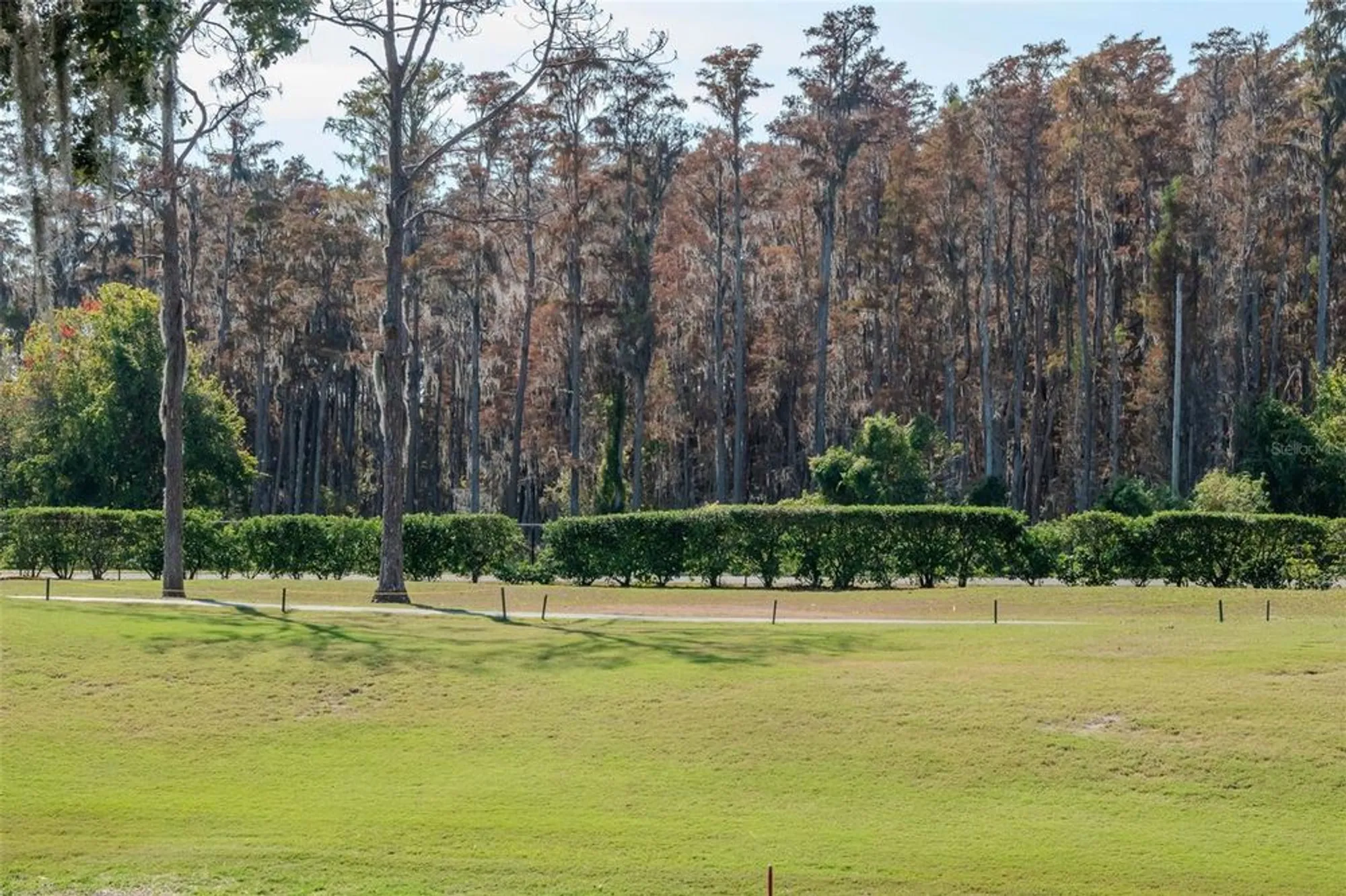 Property Slideshow image 19 of 28 | 9500 green needle dr, New Port Richey, FL, 34655