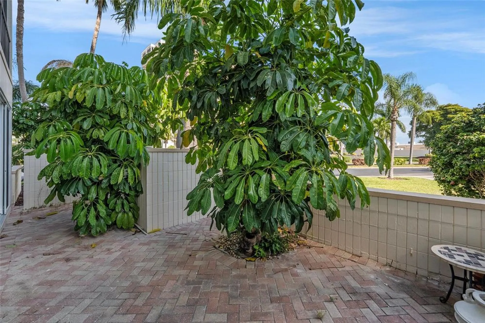 Property Slideshow image 24 of 30 | 7400 sun island dr 111, South Pasadena, FL, 33707