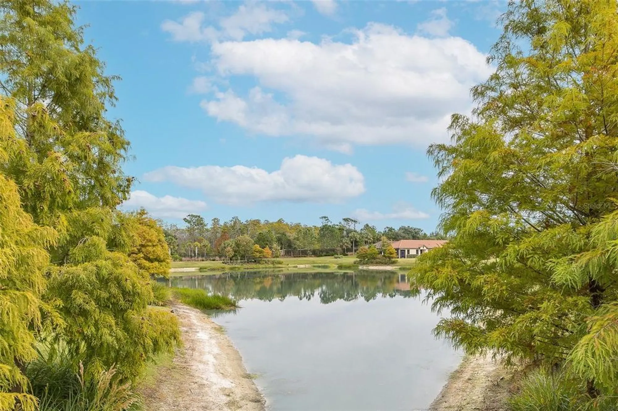 Property Slideshow image 58 of 100 | 11599 callisia dr, Odessa, FL, 33556