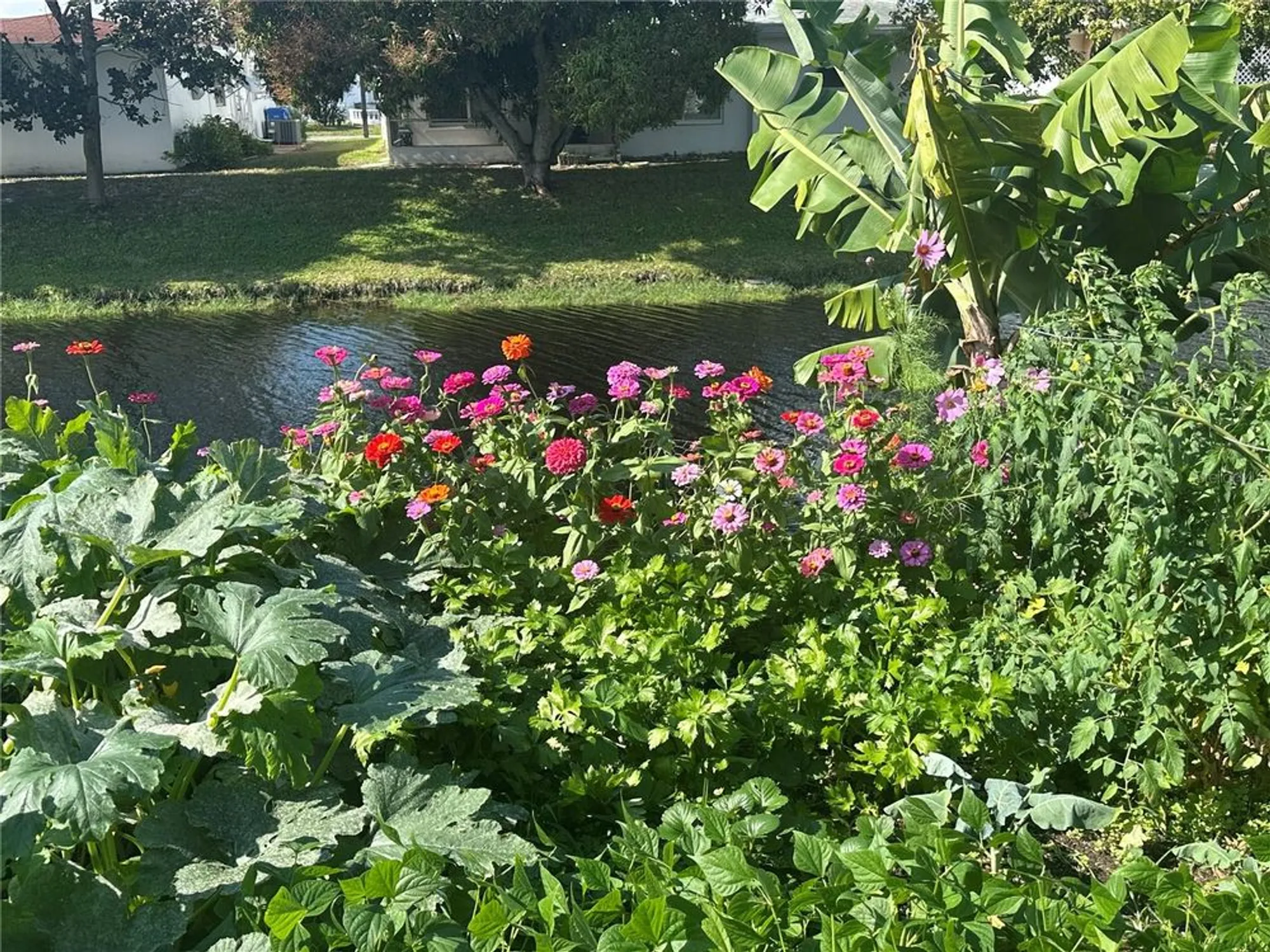 Property Slideshow image 39 of 57 | 735 nw 73rd ter, Margate, FL, 33063