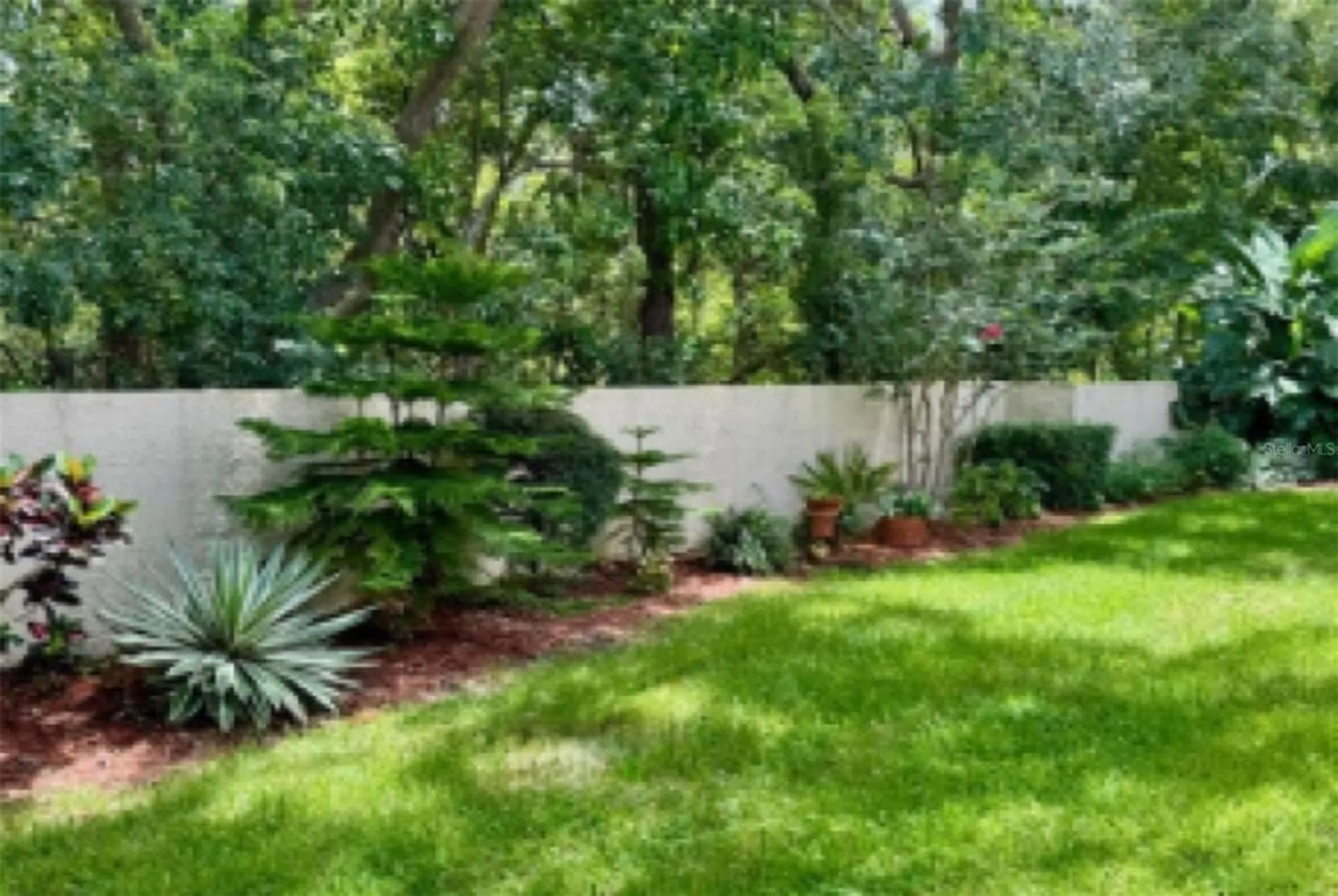 Property Slideshow image 32 of 84 | 1701 pinehurst rd apt 24b, Dunedin, FL, 34698