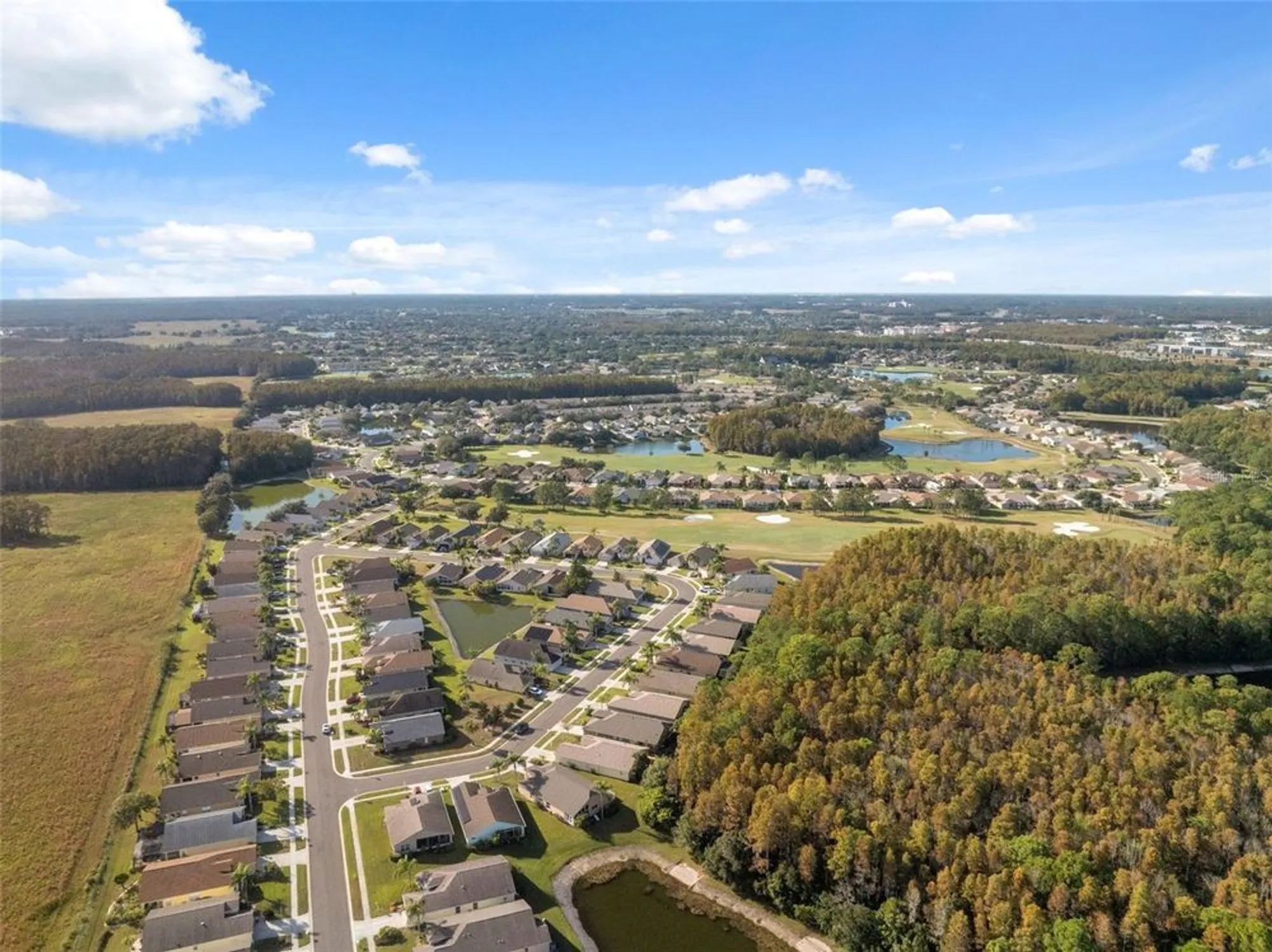 Property Slideshow image 49 of 78 | 1201 dustan pl, Trinity, FL, 34655