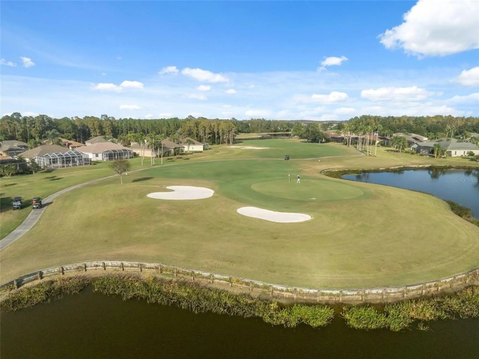 Property Slideshow image 75 of 78 | 1201 dustan pl, Trinity, FL, 34655