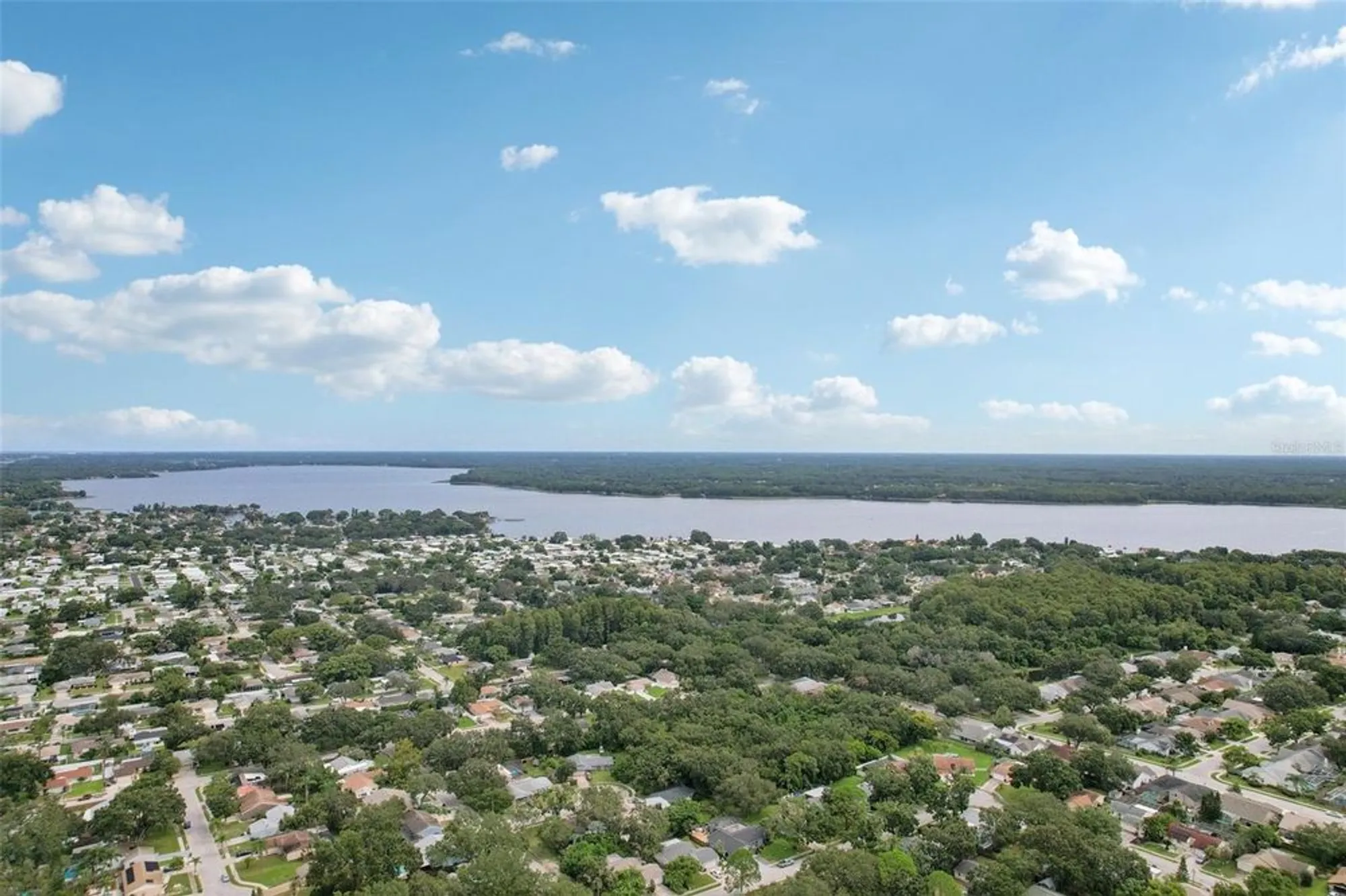 Property Slideshow image 60 of 78 | 2866 thistle ct, Palm Harbor, FL, 34684