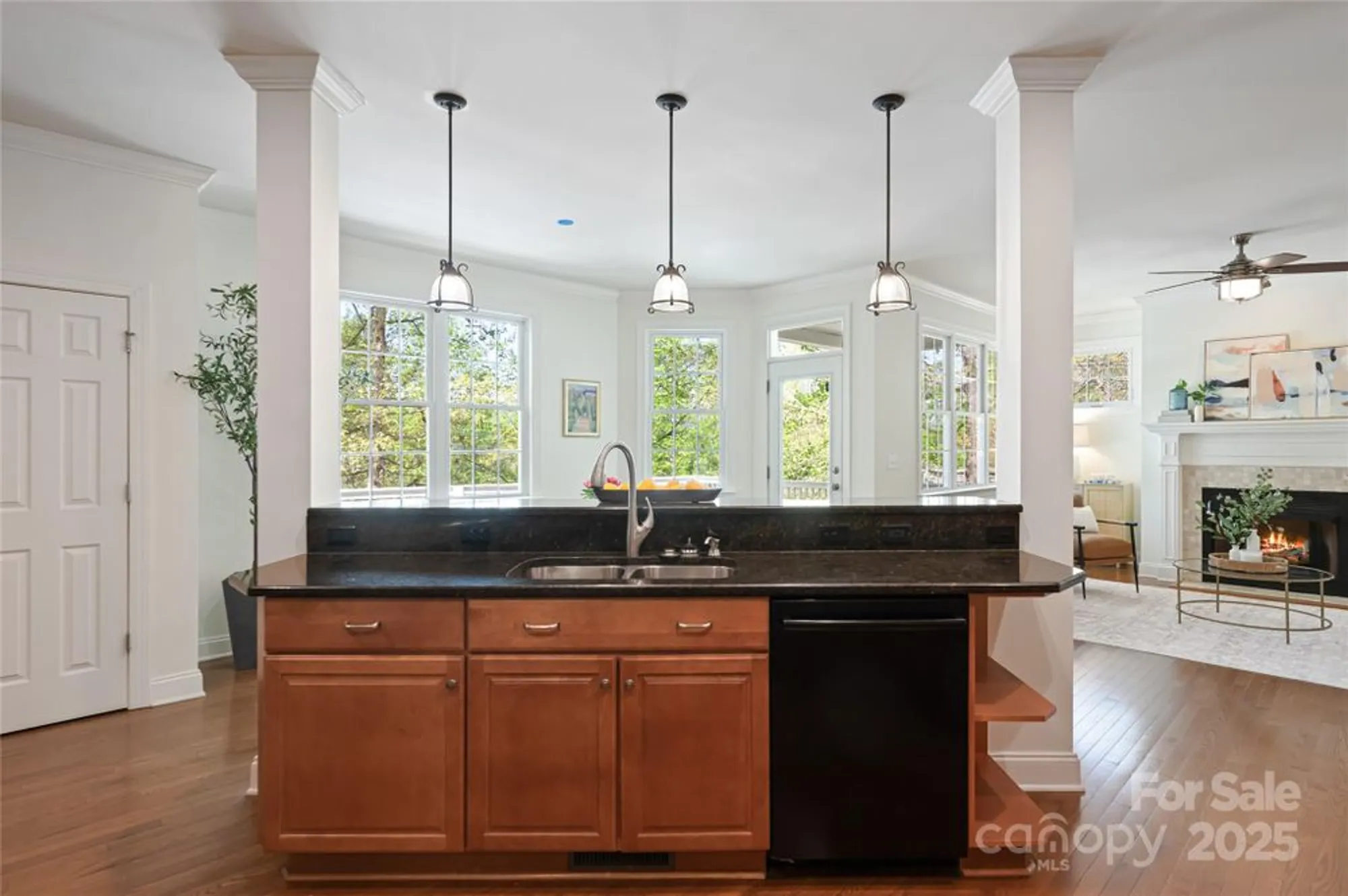 Property Slideshow image 10 of 42 | 11 larue ct, Biltmore Lake, NC, 28715