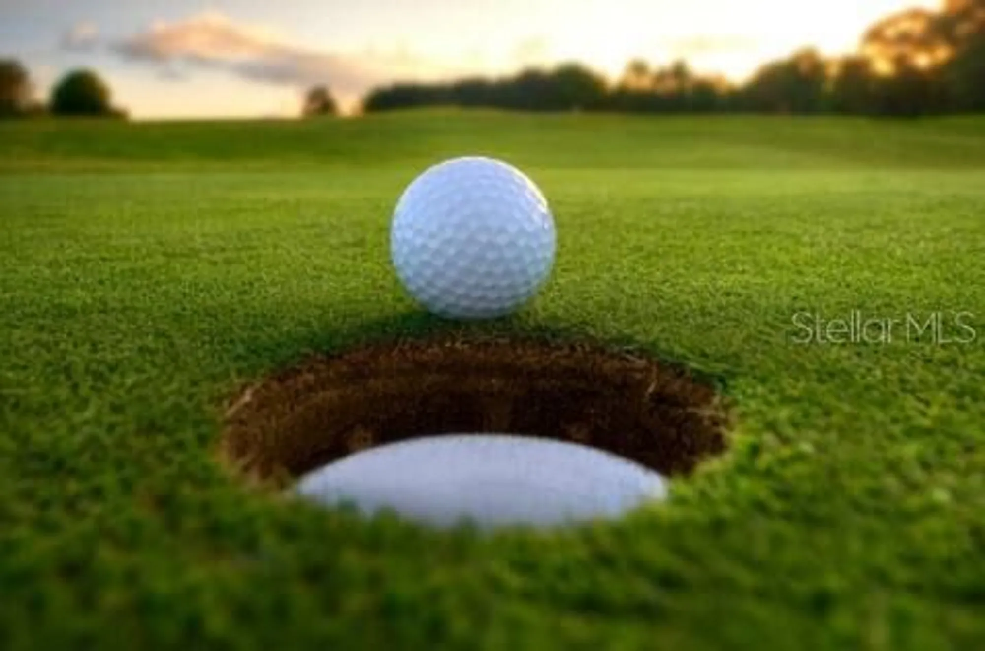 Property Slideshow image 44 of 50 | 4488 turnberry ln, Lake Wales, FL, 33859