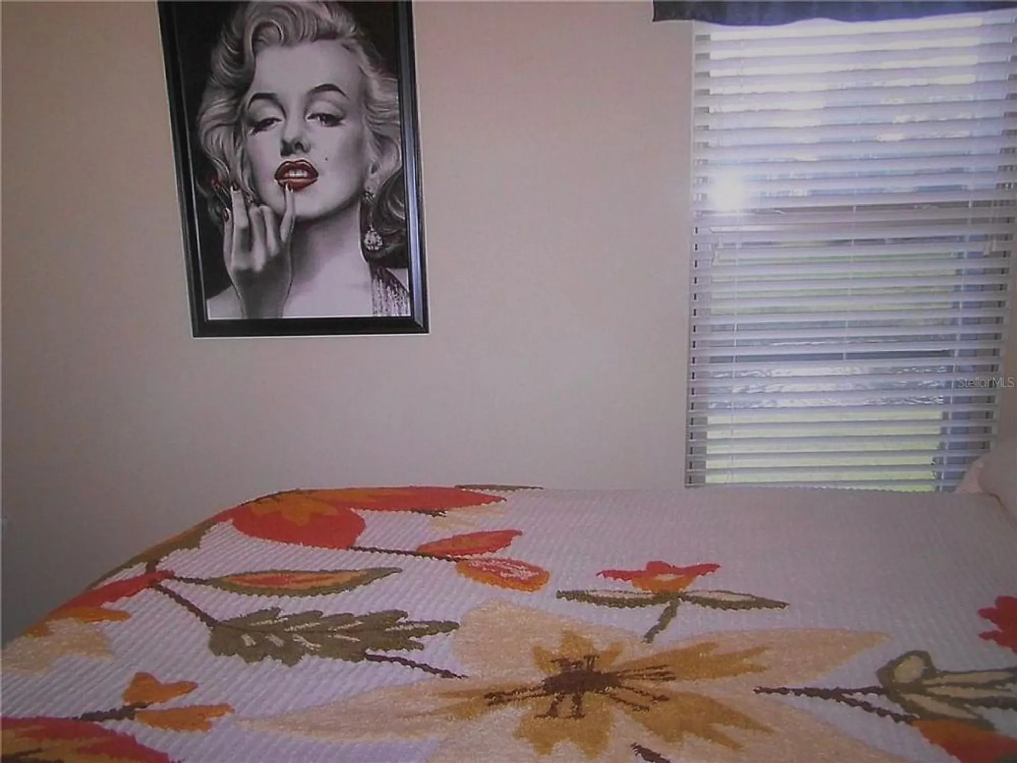 Property Slideshow image 58 of 61 | 344 mystic falls dr, Apollo Beach, FL, 33572
