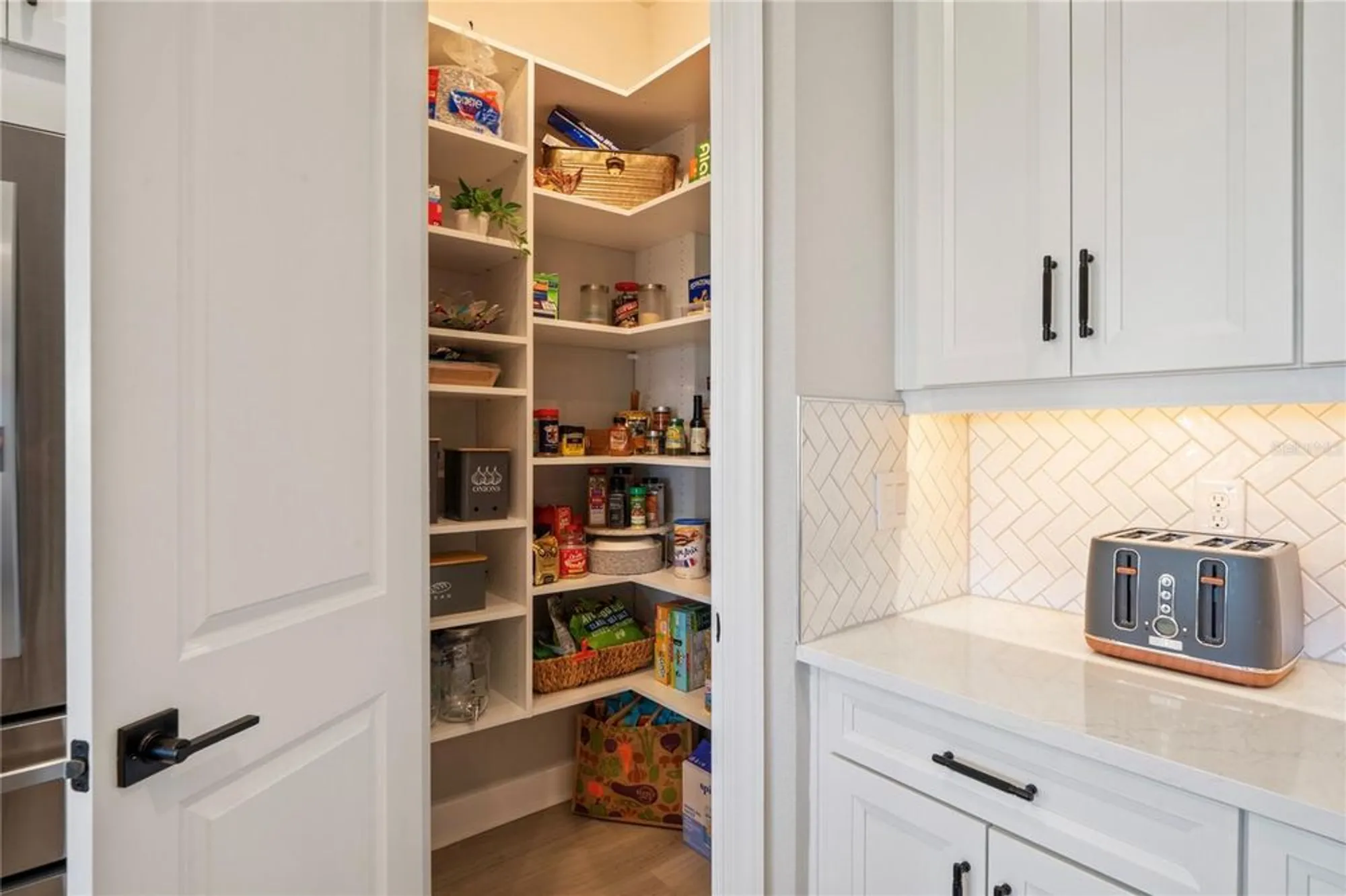 Property Slideshow image 25 of 91 | 11223 egeria dr, Odessa, FL, 33556