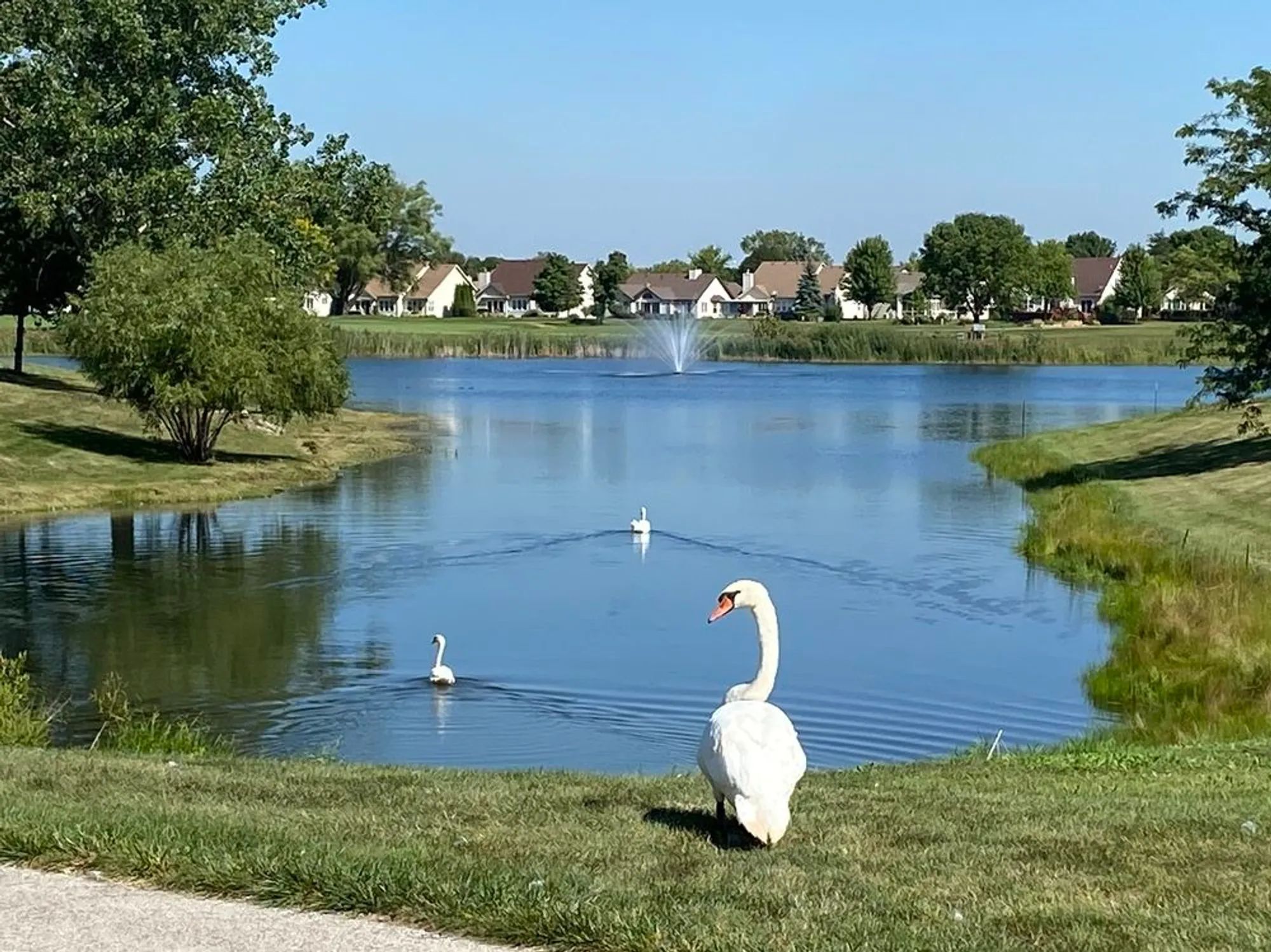 Property Slideshow image 30 of 30 | , Plainfield, IL, 60544