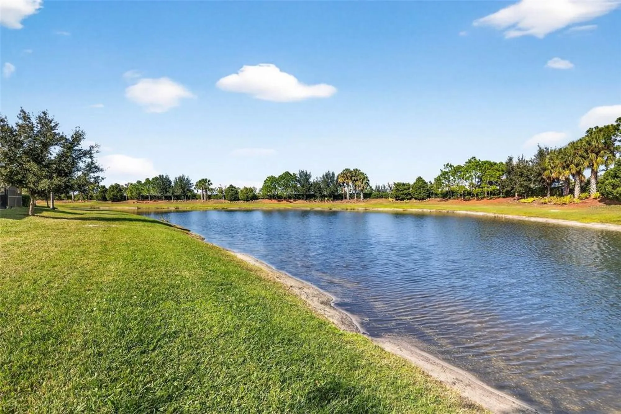 Property Slideshow image 43 of 64 | 15652 aurora lake cir, Wimauma, FL, 33598