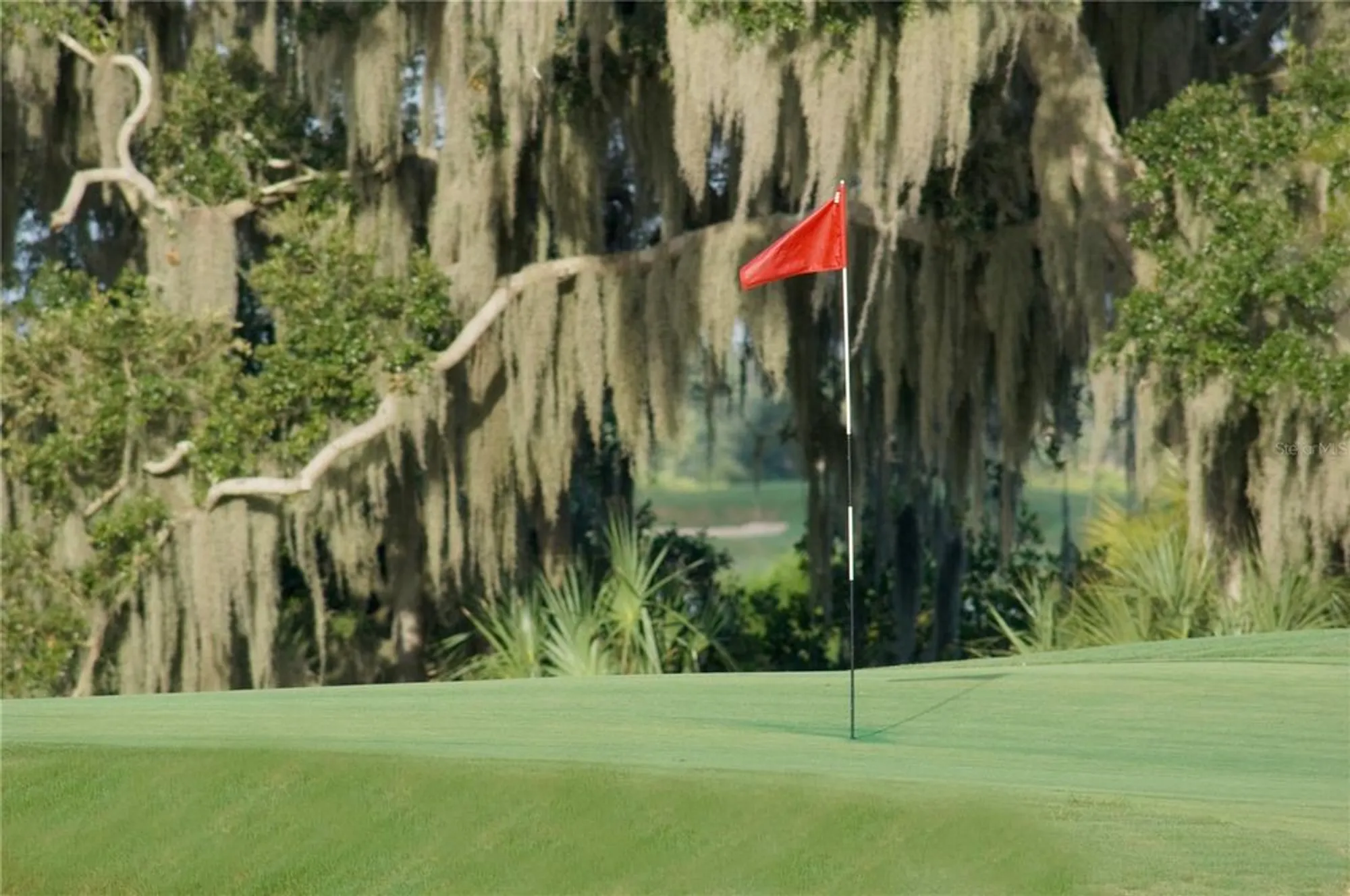 Property Slideshow image 56 of 68 | 9019 heritage sound dr, Bradenton, FL, 34212