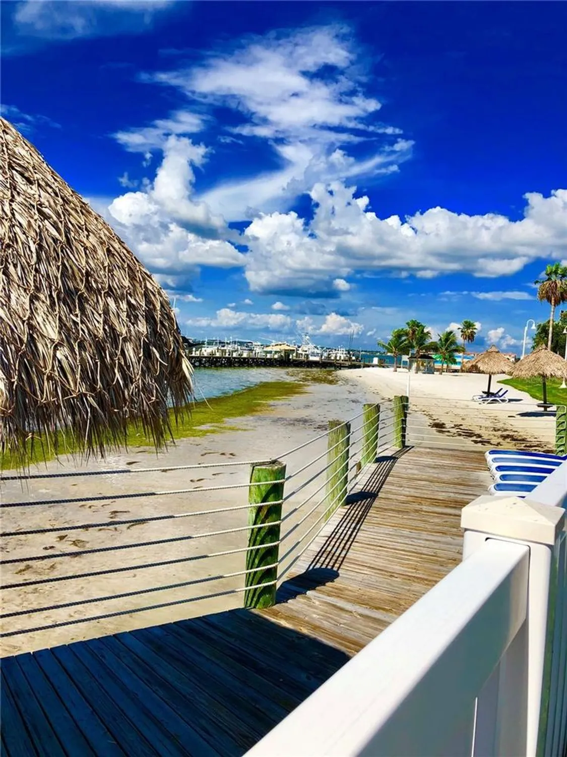 Property Slideshow image 72 of 78 | 6265 sun blvd apt 115, St Petersburg, FL, 33715