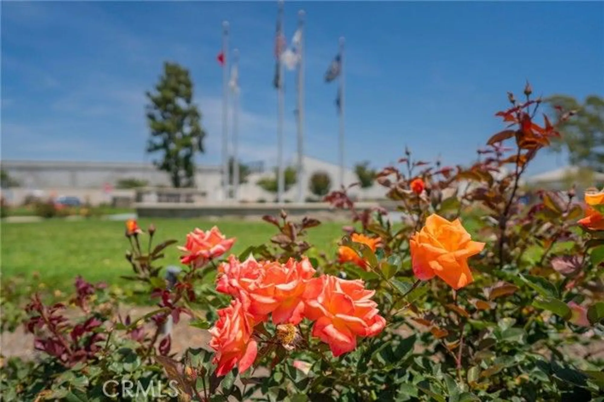 Property Slideshow image 39 of 42 | 1681 tam 0'shanter rd 10j m12, Seal Beach, CA, 90740