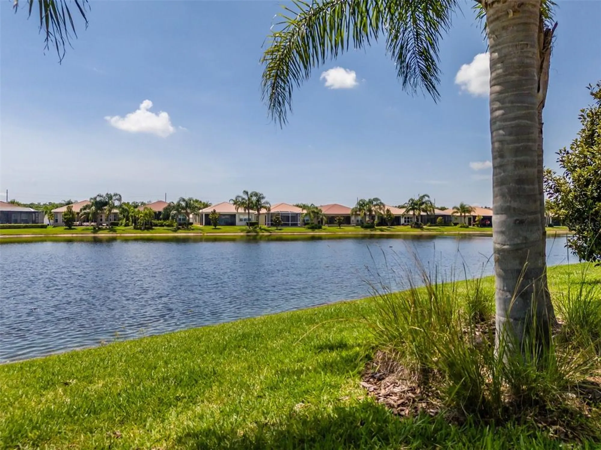 Property Slideshow image 22 of 92 | 4821 grand banks dr, Wimauma, FL, 33598