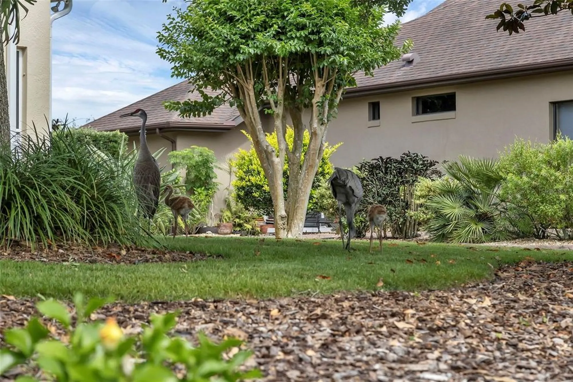 Property Slideshow image 35 of 58 | 8167 bridgeport bay cir, Mount Dora, FL, 32757