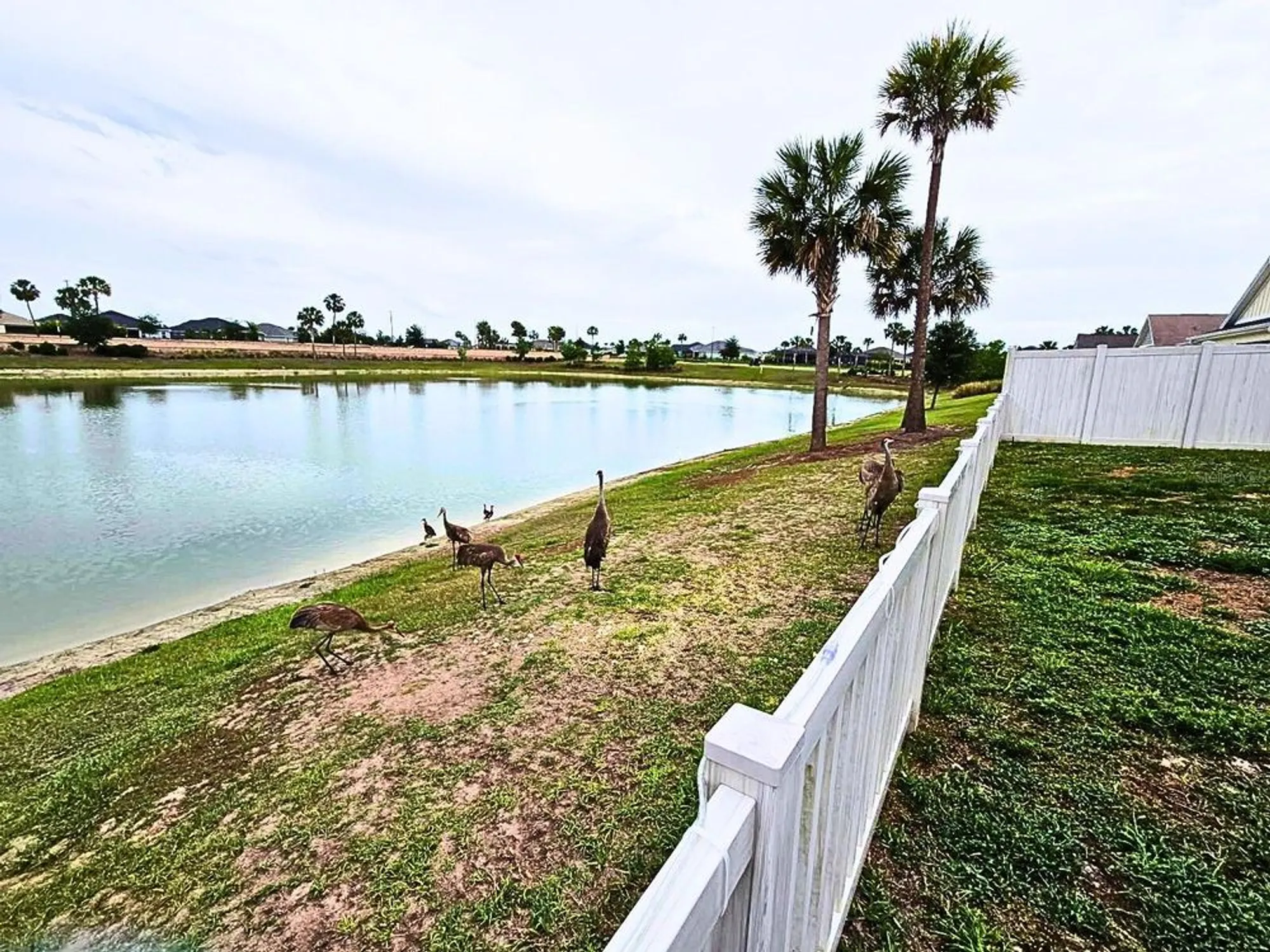 Property Slideshow image 7 of 51 | 5835 tupper ct, The Villages, FL, 32163