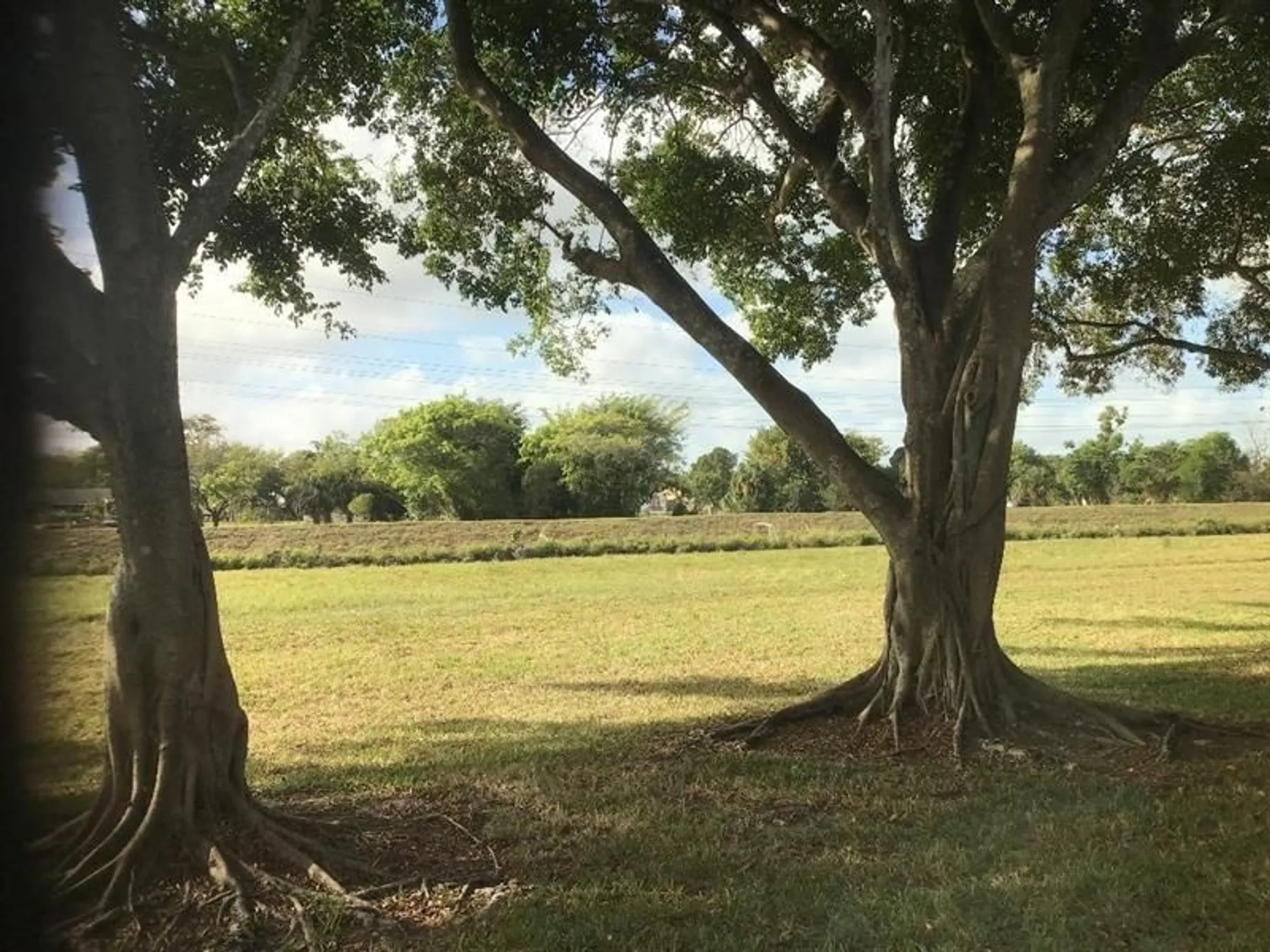 Property Slideshow image 25 of 31 | 7290 nw 1st st 205, Margate, FL, 33063