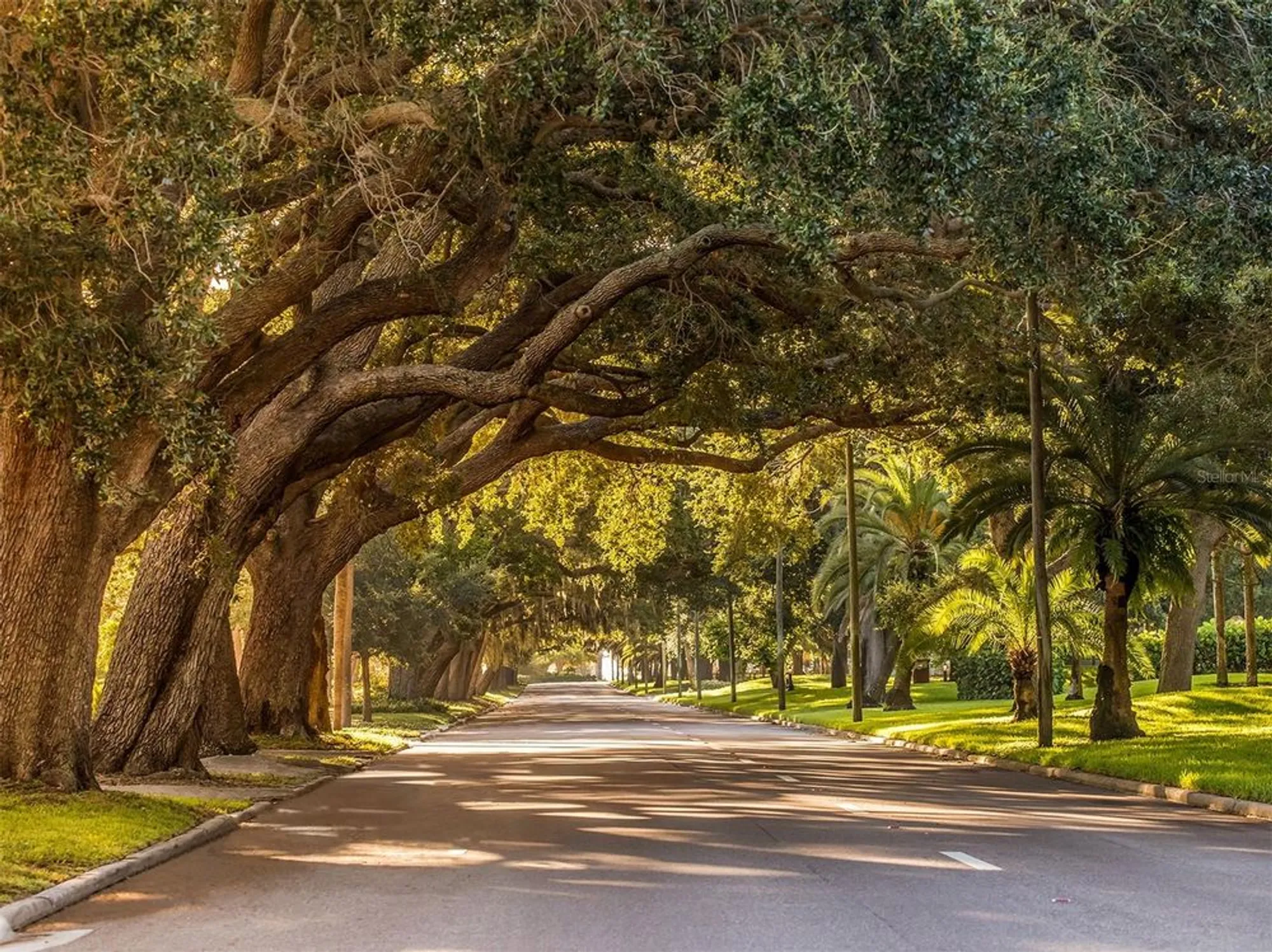 Property Slideshow image 64 of 68 | 437 cerromar ln unit 312, Venice, FL, 34293