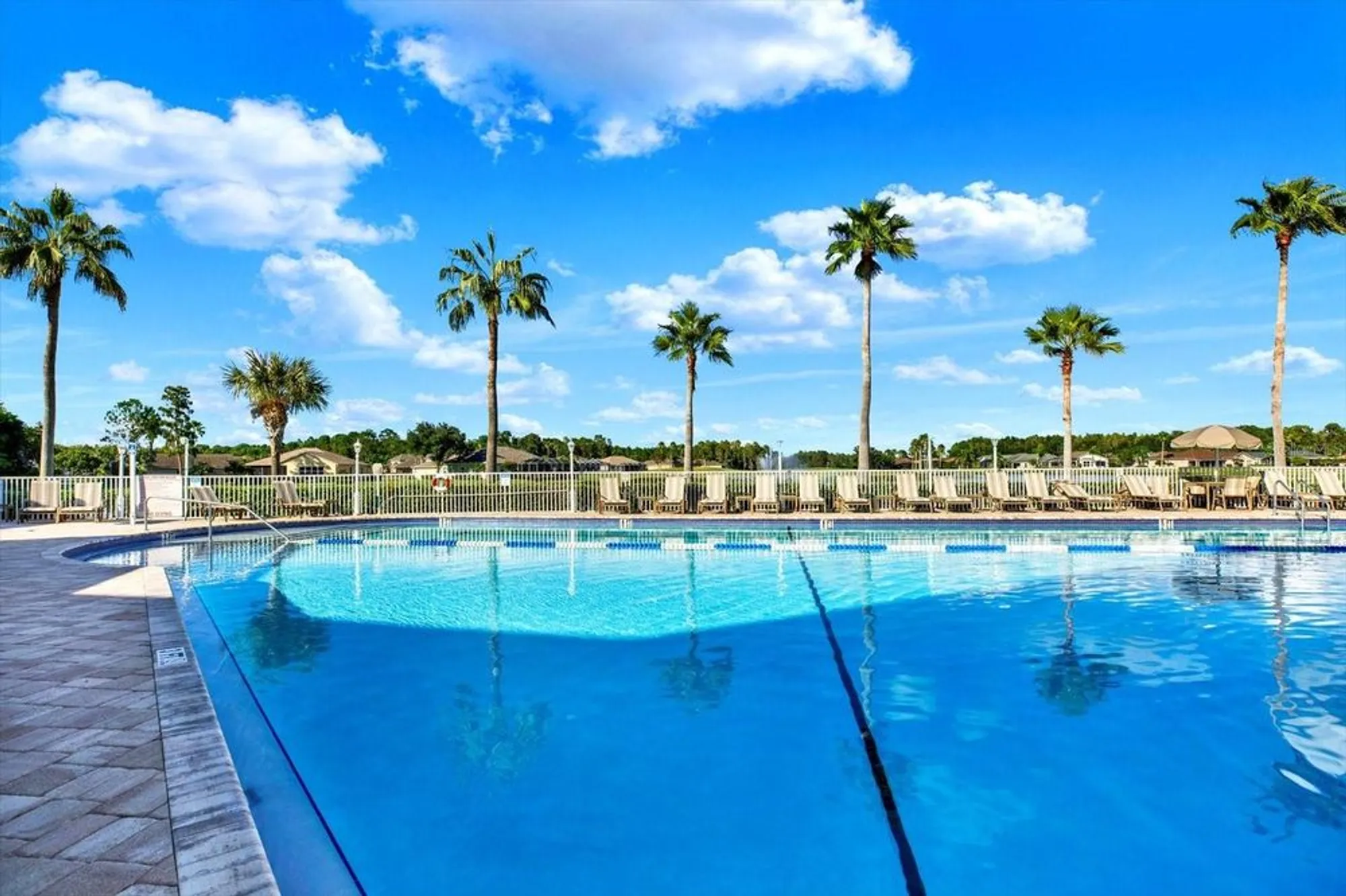 Property Slideshow image 36 of 49 | 1851 arbor knoll loop, Trinity, FL, 34655