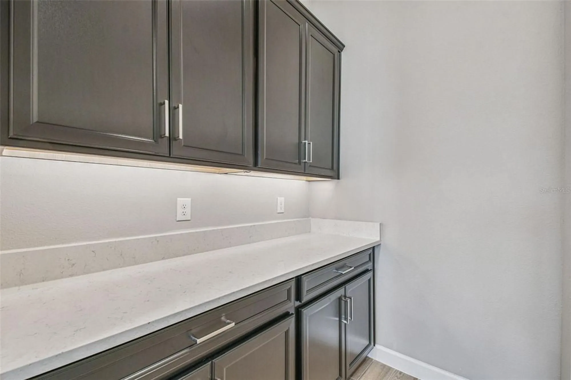 Property Slideshow image 41 of 100 | 31896 magna gulf loop, San Antonio, FL, 33576