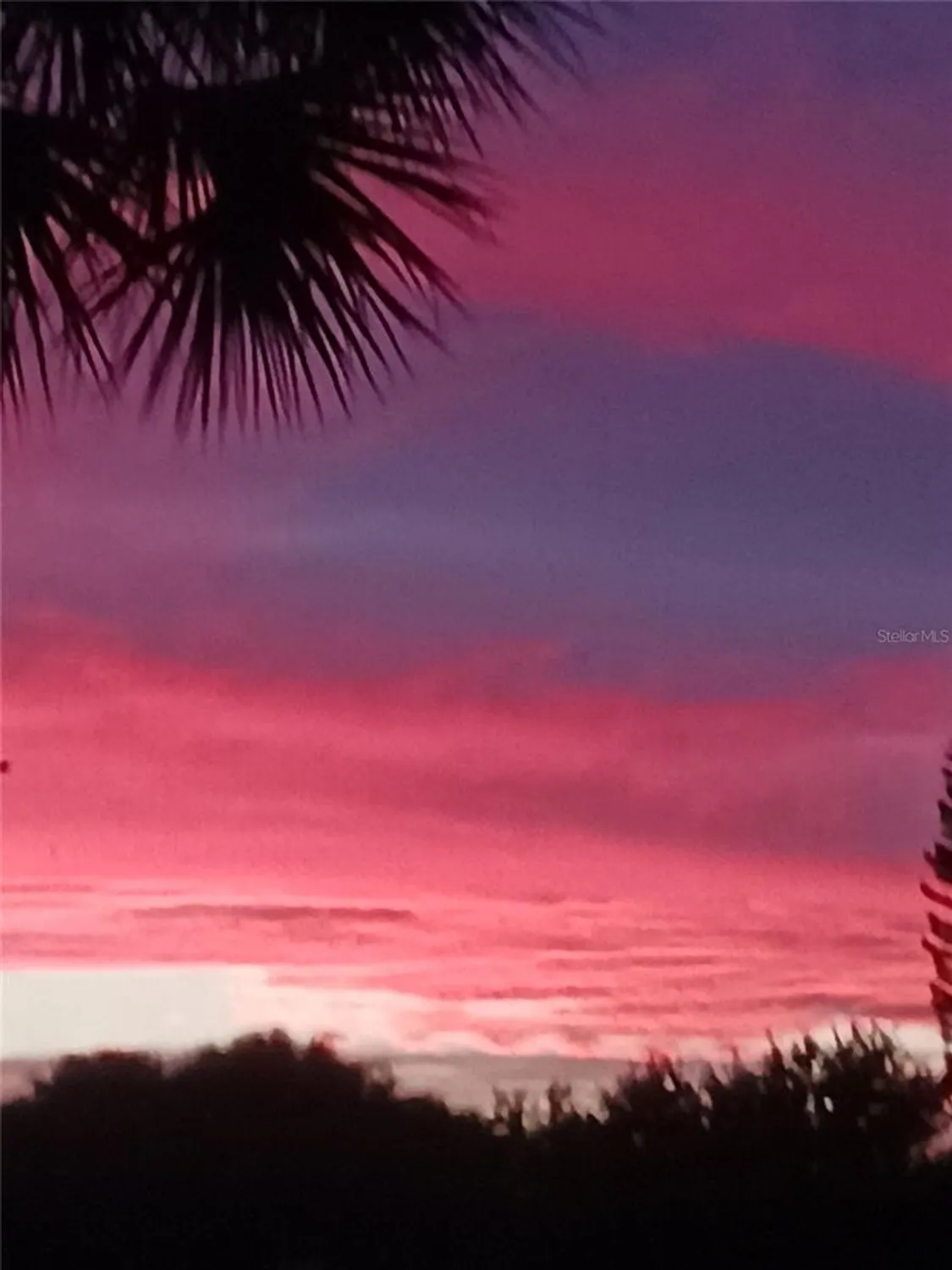 Property Slideshow image 32 of 53 | 1219 huntington greens dr, Sun City Center, FL, 33573