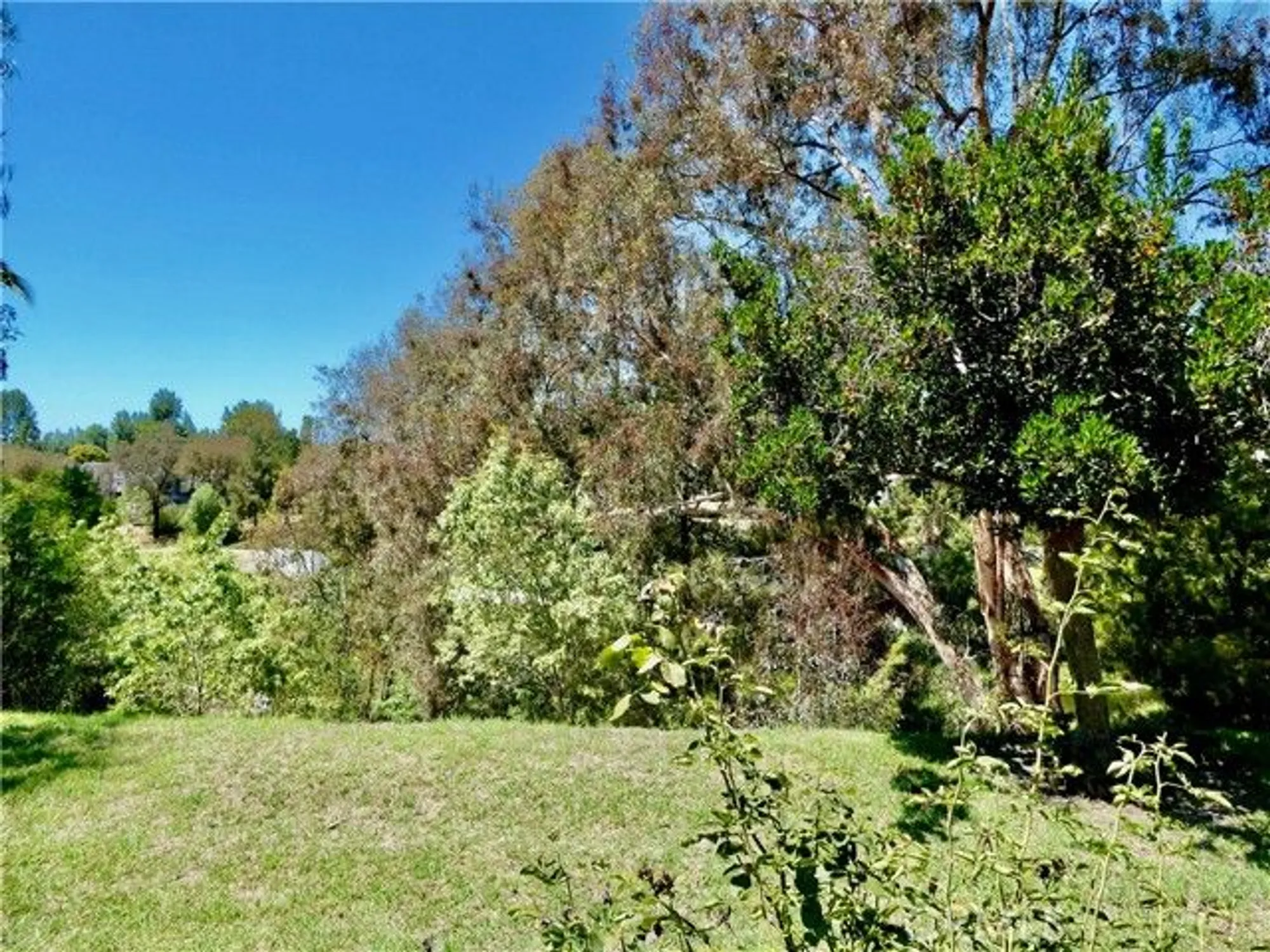 Property Slideshow image 40 of 72 | 23531 via murillo, Mission Viejo, CA, 92692