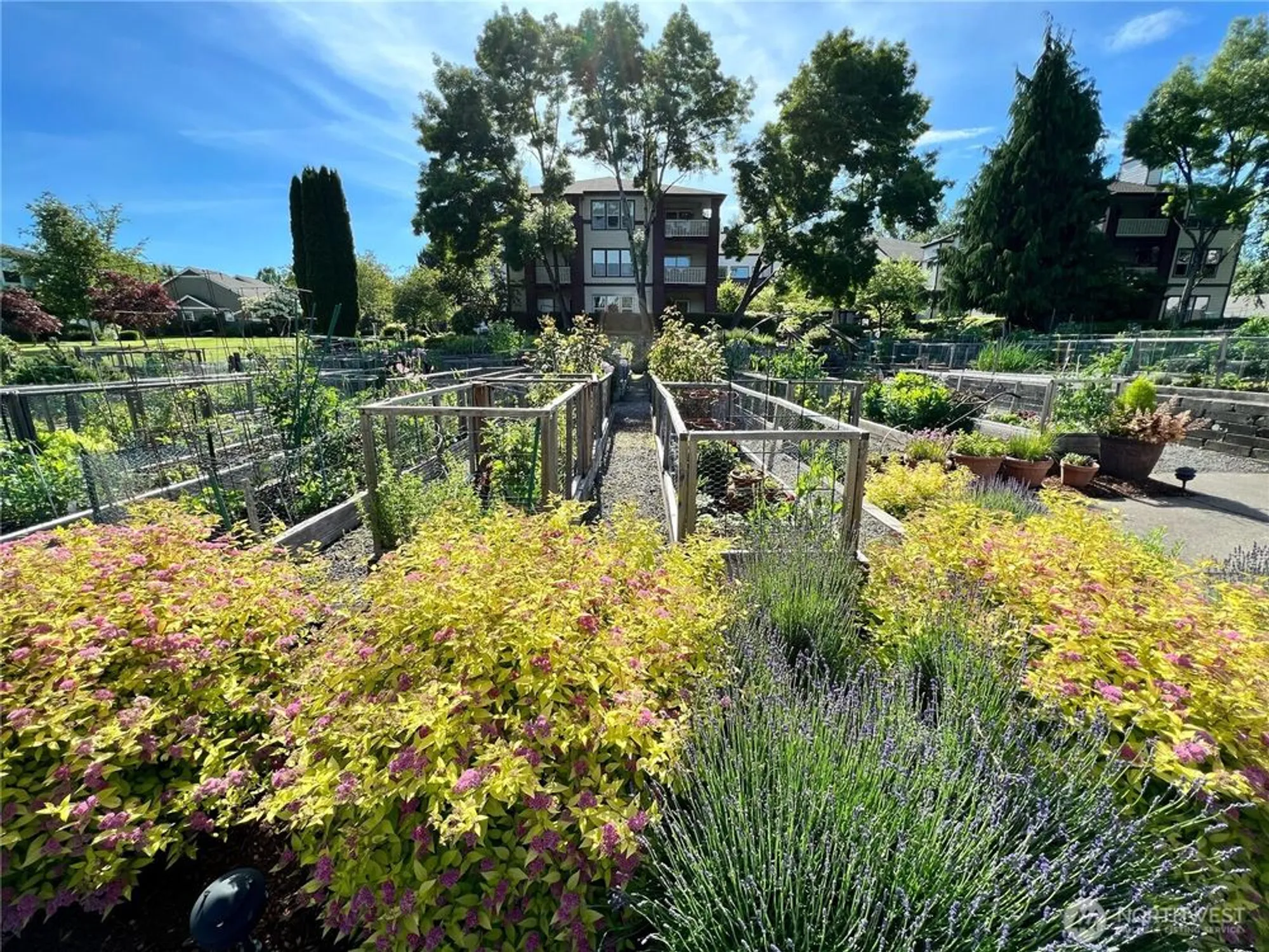 Property Slideshow image 31 of 38 | 4228 221st pl se # 1083, Issaquah, WA, 98029