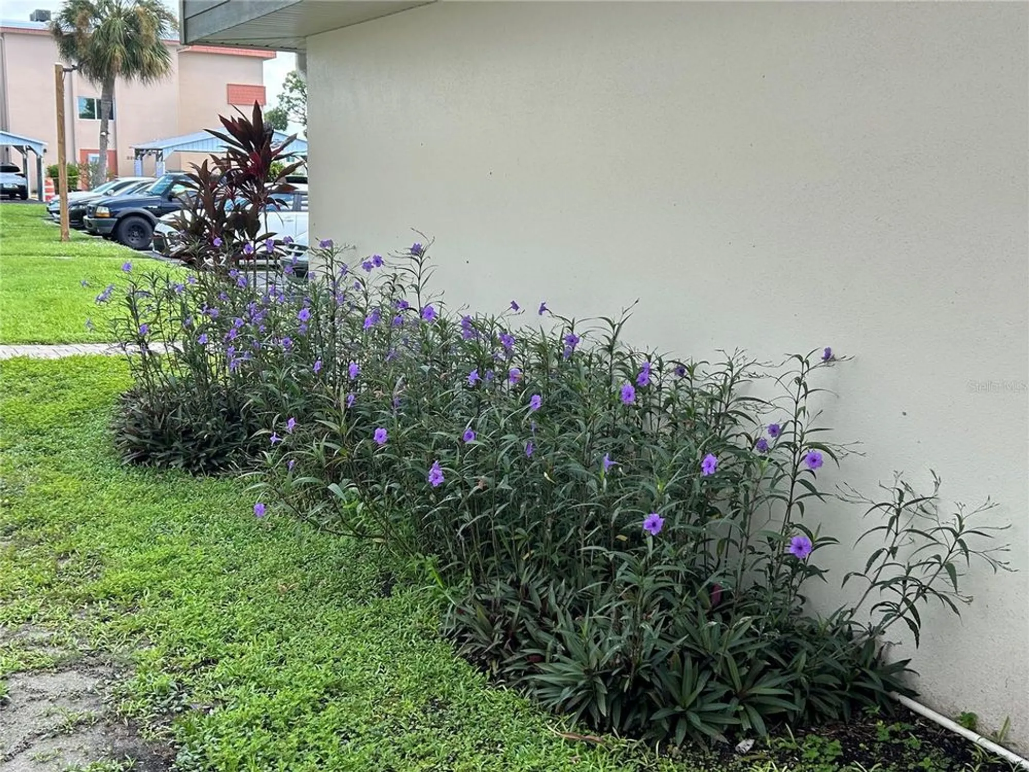 Property Slideshow image 43 of 61 | 2300 aaron st apt 215, Port Charlotte, FL, 33952