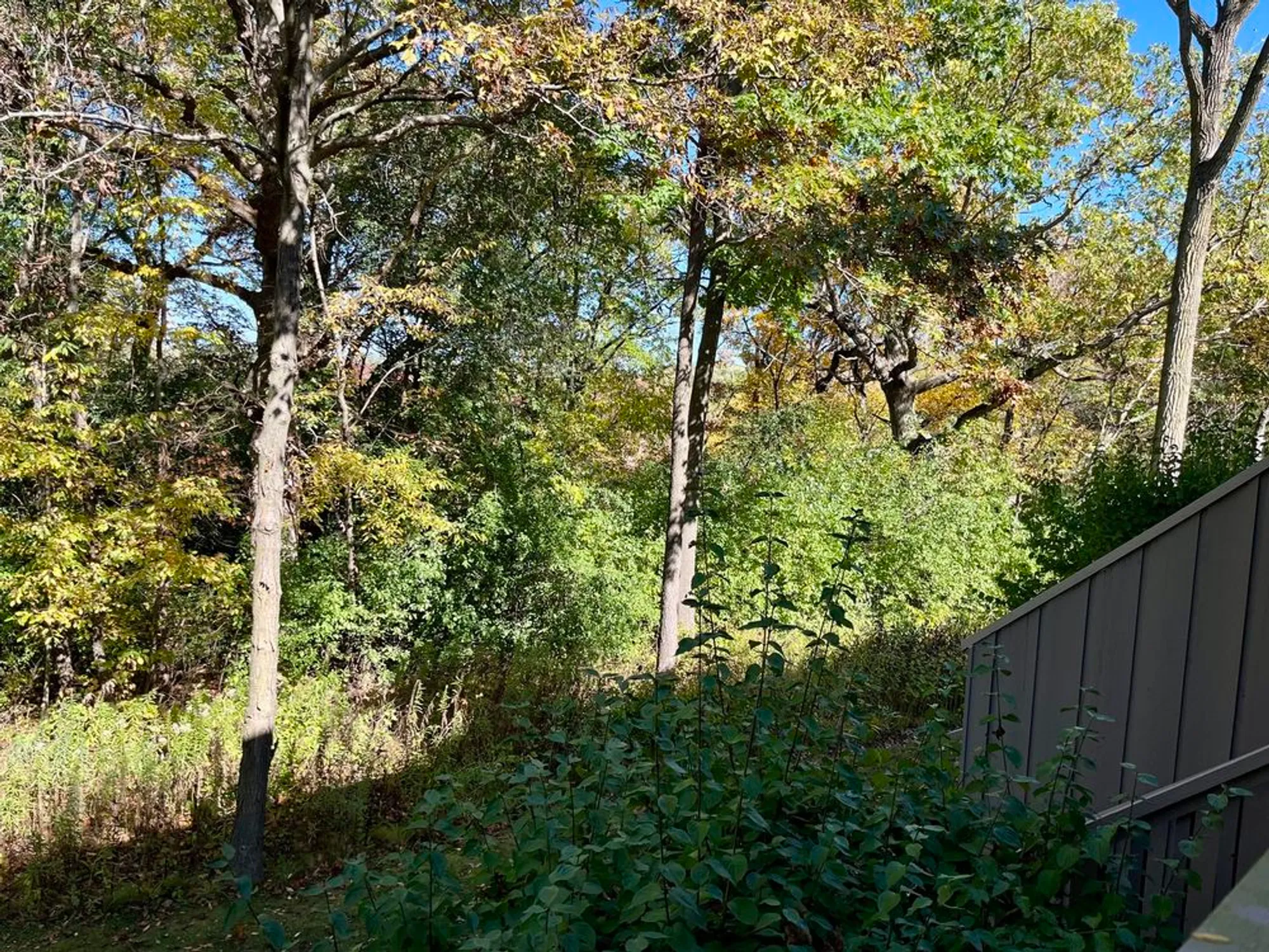 Property Slideshow image 9 of 43 | 315 bluff ct c, Lake Barrington, IL, 60010