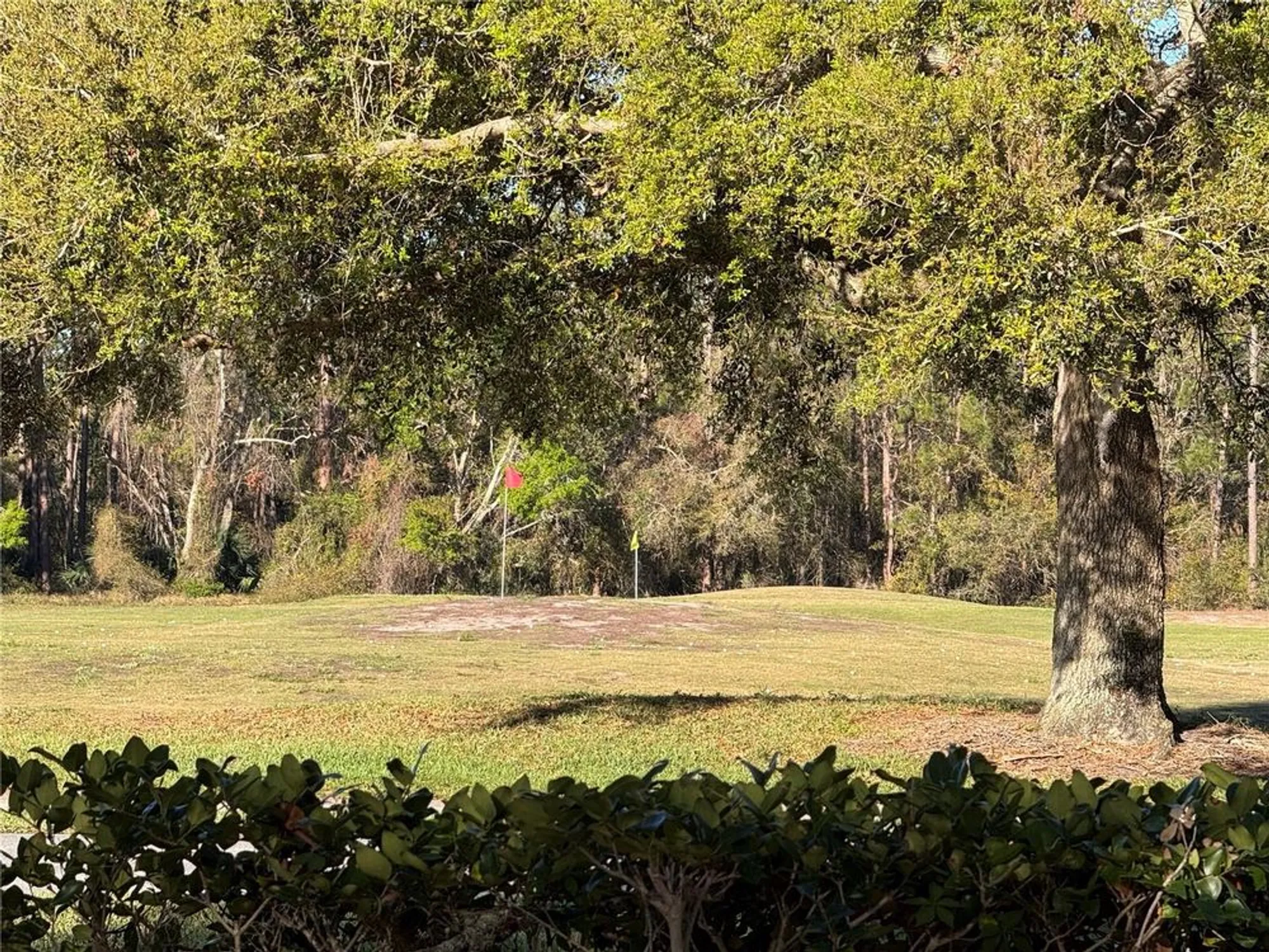 Property Slideshow image 15 of 100 | 25527 oak aly, Leesburg, FL, 34748