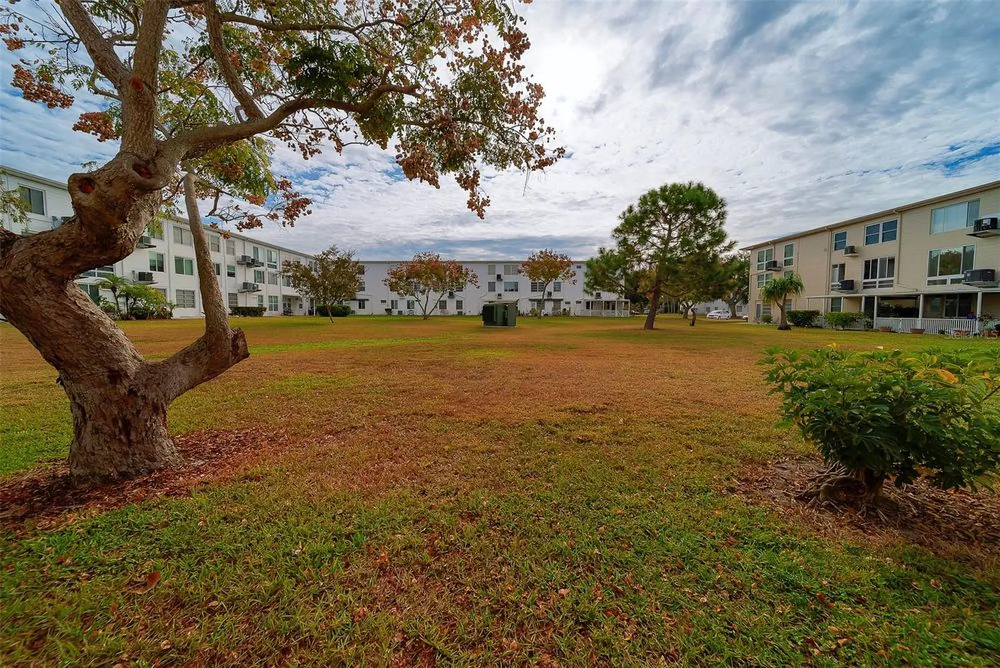Property Slideshow image 36 of 55 | 2433 brazilia dr apt 5, Clearwater, FL, 33763