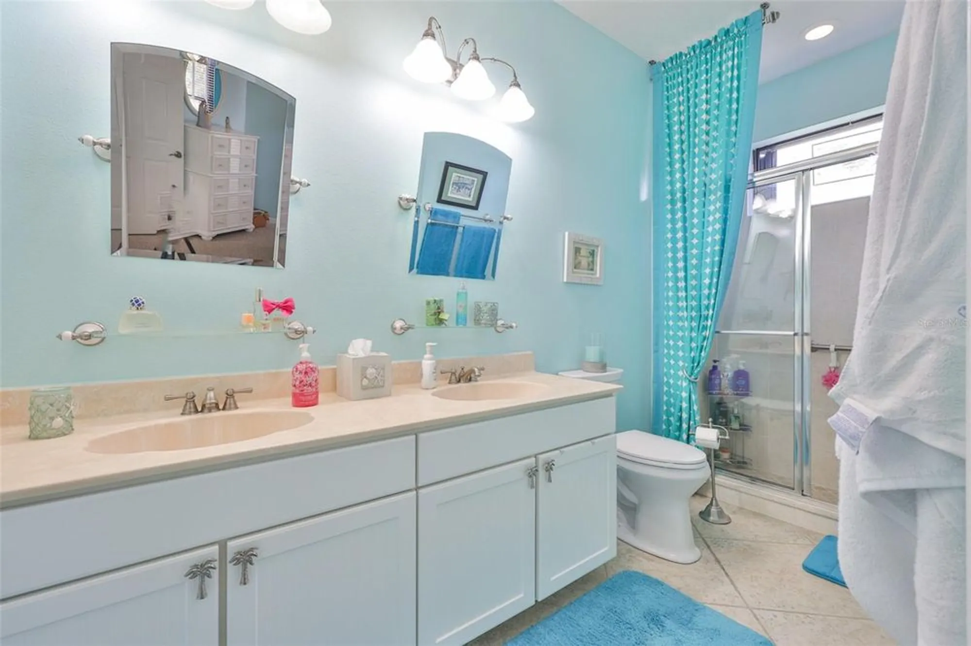 Property Slideshow image 33 of 75 | 5831 sunset falls dr, Apollo Beach, FL, 33572