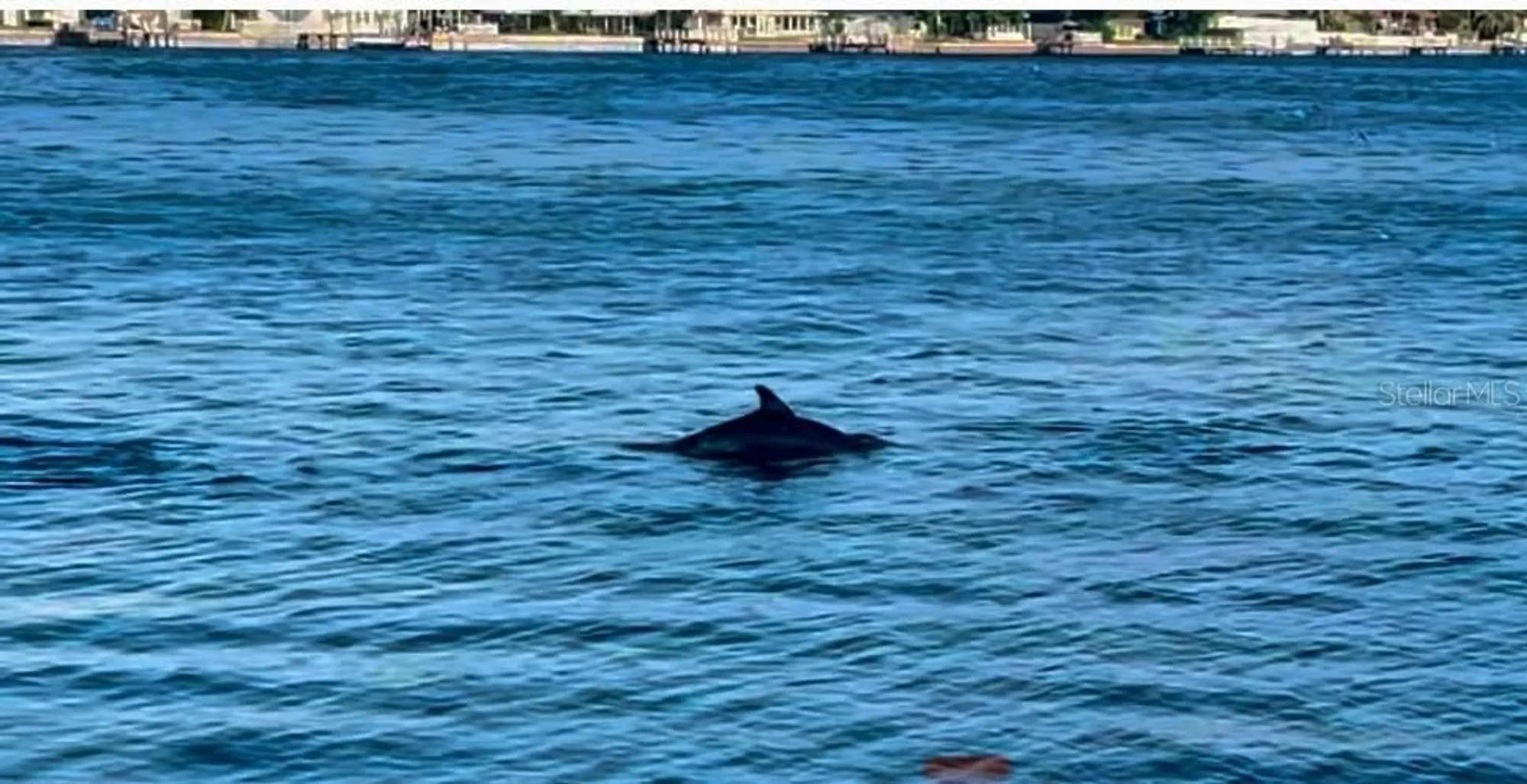 Property Slideshow image 38 of 38 | 6265 sun blvd apt 101, Saint Petersburg, FL, 33715