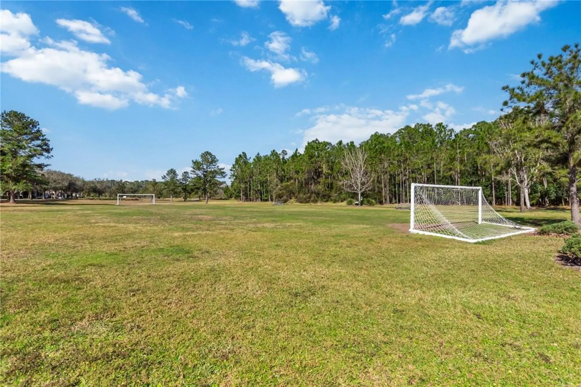 Property Slideshow image 50 of 87 | 3378 sagebrush st, Harmony, FL, 34773