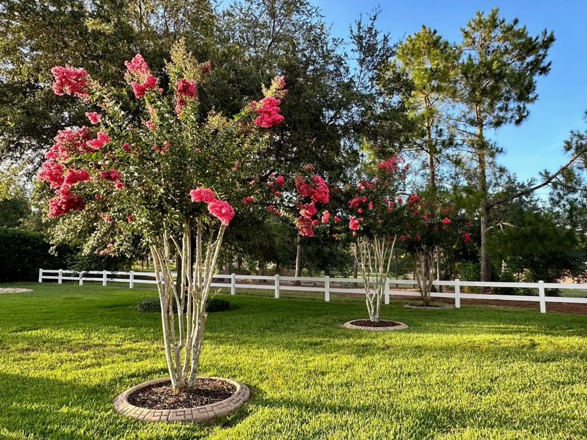 Property Slideshow image 56 of 64 | 8914 sw 84th cir, Ocala, FL, 34481