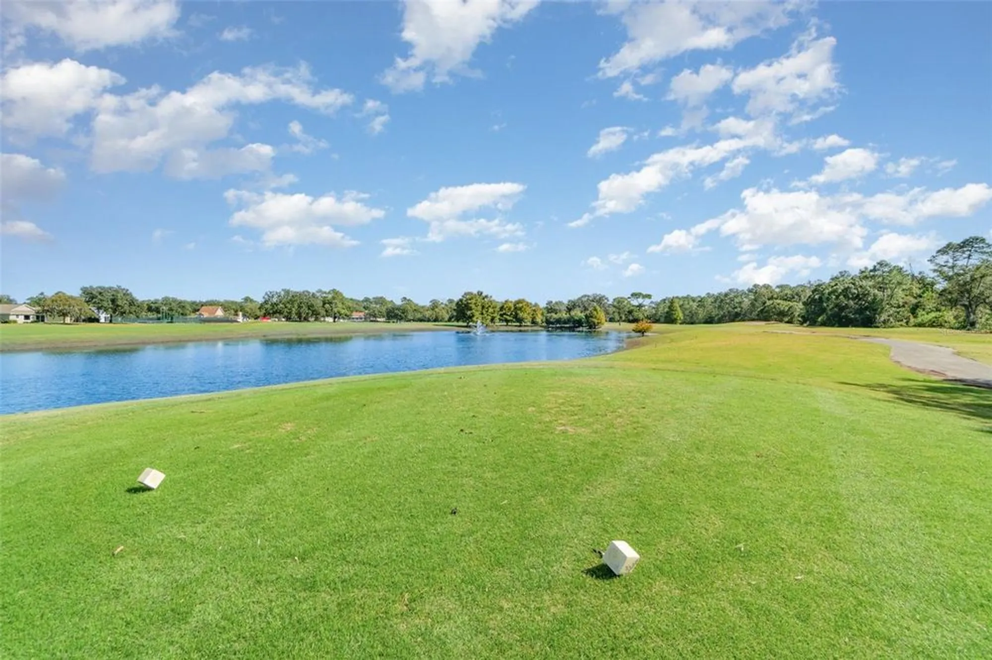 Property Slideshow image 21 of 22 | 2250 chase ct, Mount Dora, FL, 32757