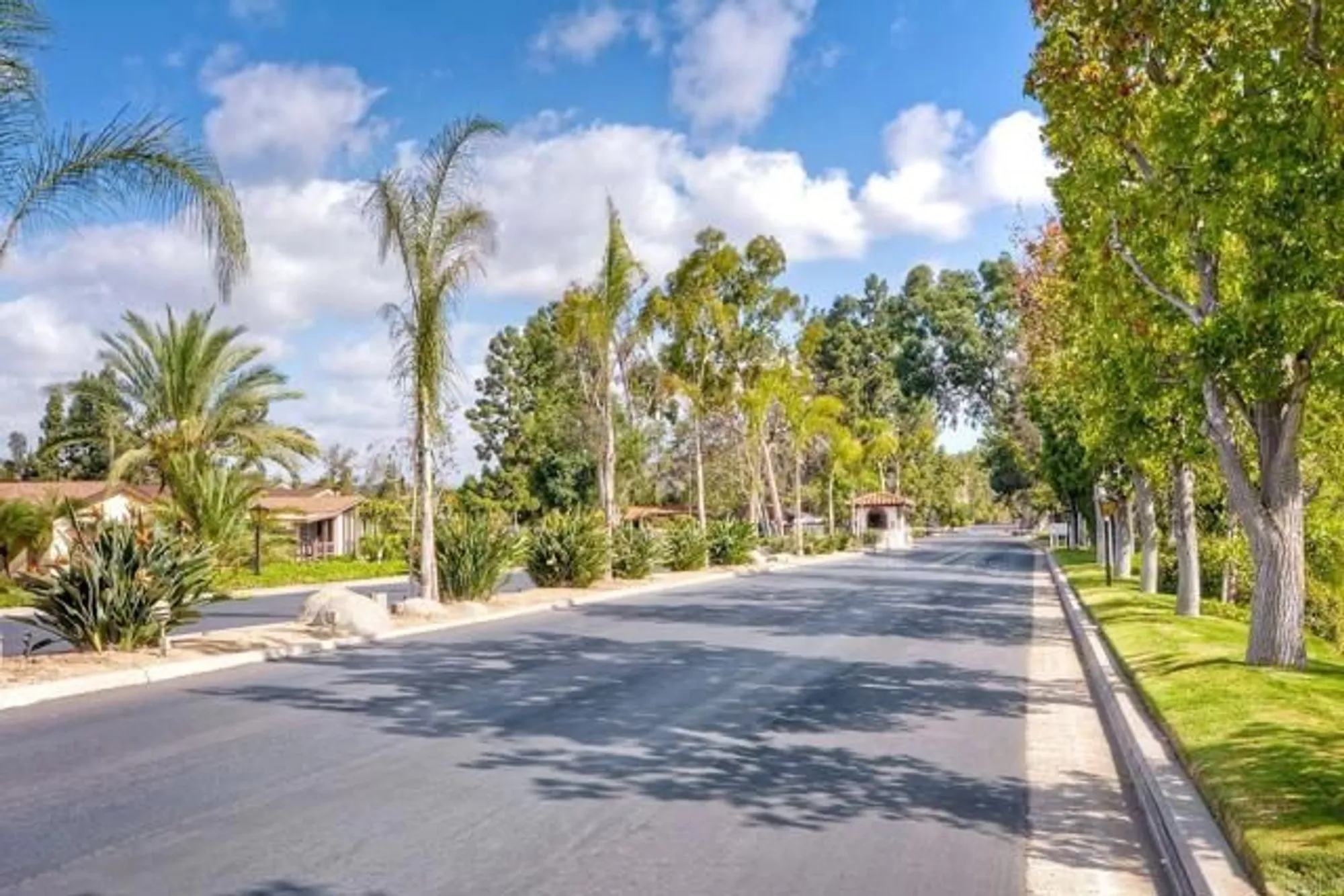 Property Slideshow image 39 of 43 | 3466 don lorenzo dr, Carlsbad, CA, 92010