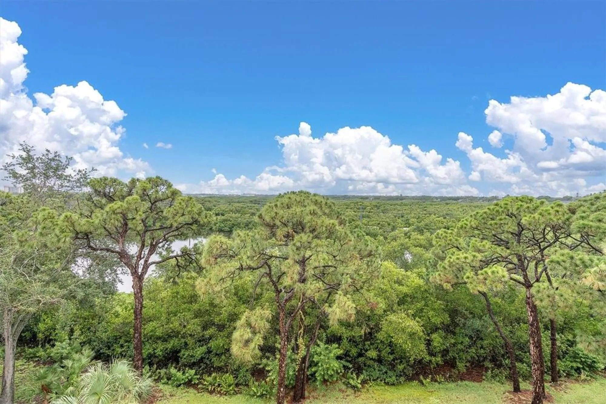 Property Slideshow image 37 of 48 | 8198 terrace garden dr n unit 511, Saint Petersburg, FL, 33709